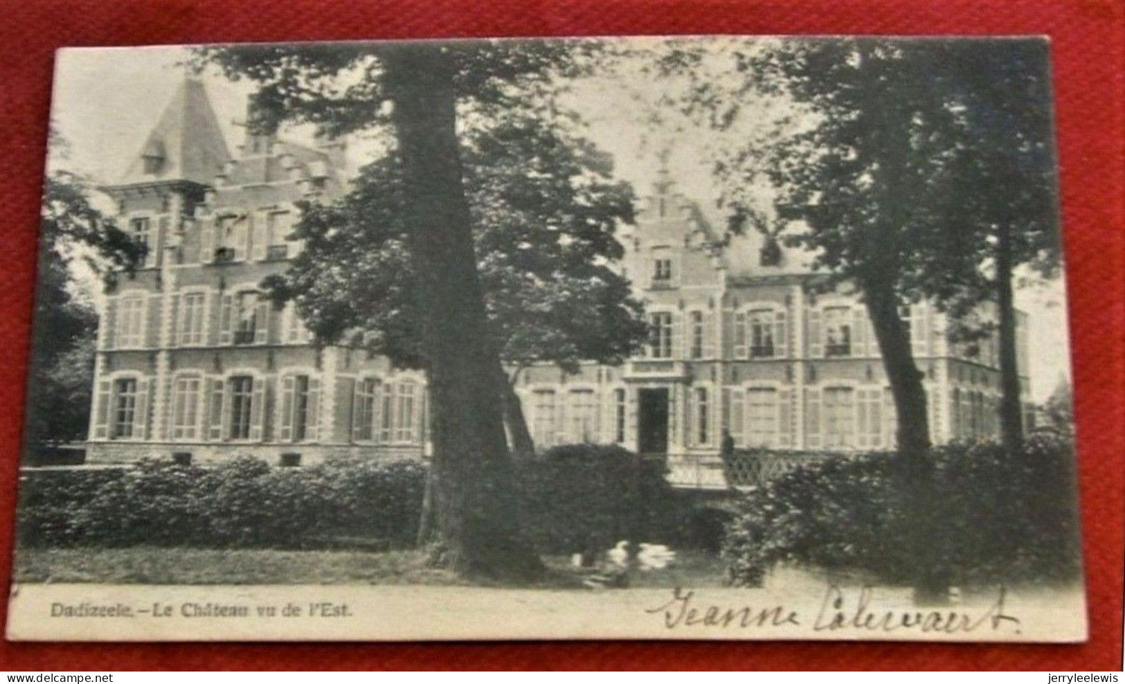 DADIZELE -  DADIZEELE  -  Le Château  Vu De L'Est  -  1905 - Moorslede