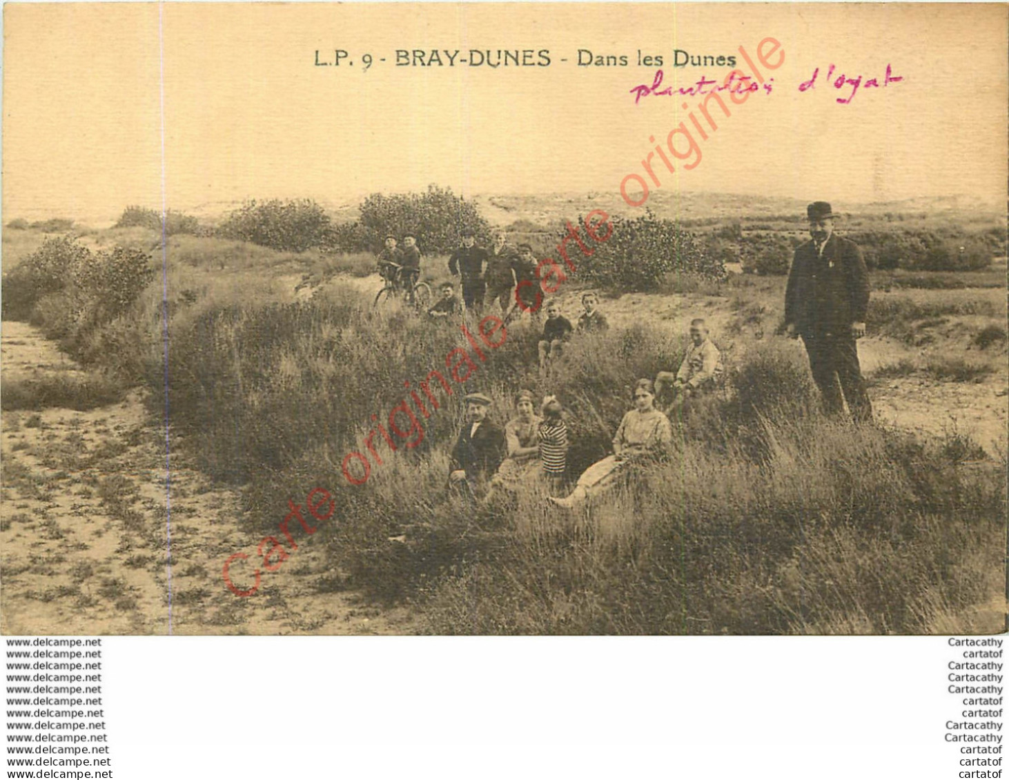 59.  BRAY DUNES .  Dans Les Dunes . - Bray-Dunes