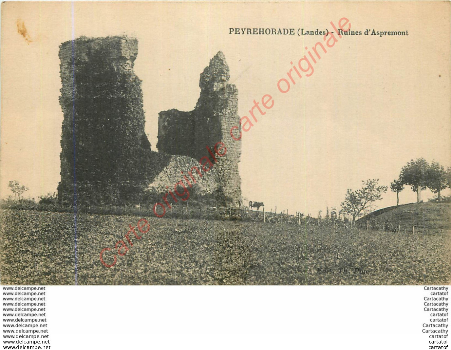 40.  PEYROHORADE .  Ruines D'Aspremont . - Peyrehorade