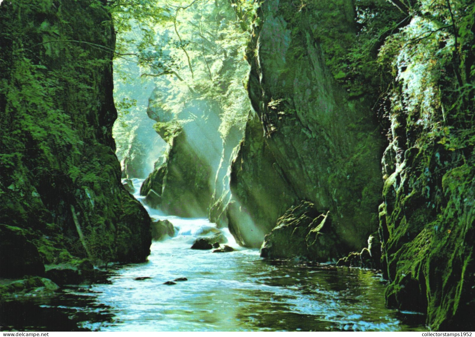 GWYNEDD, FAIRY GLEN, WALES, UNITED KINGDOM, POSTCARD - Gwynedd