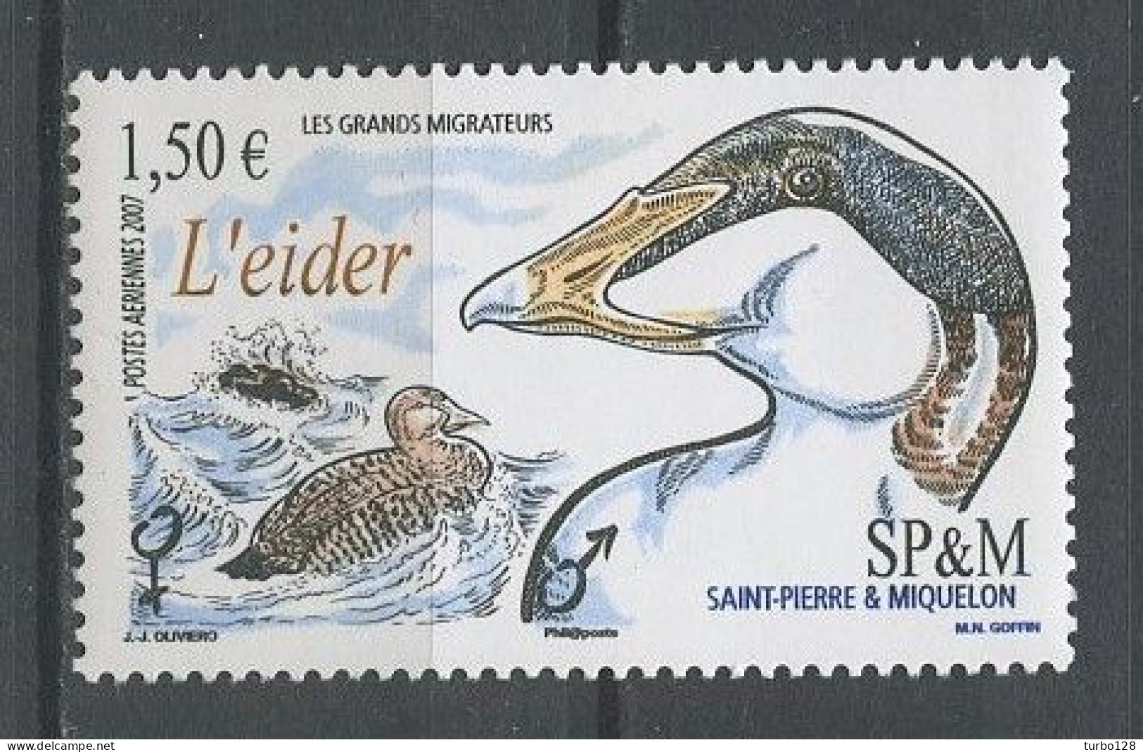 SPM 2007 PA  N° 87 ** Neuf MNH Superbe C 6 € Faune Oiseaux L' Eider Migrateurs Birds Fauna Animaux - Neufs