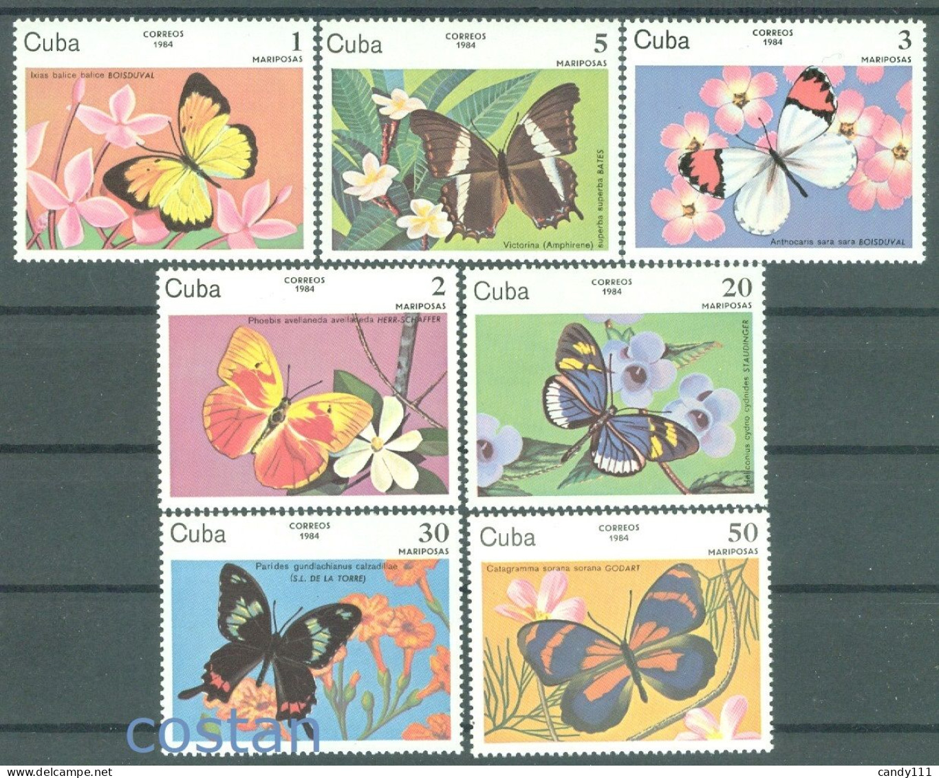 1984 Butterflies,Schmetterlinge,Papillons,Farfalla,Mariposa,Caribbean,2821,MNH - Vlinders