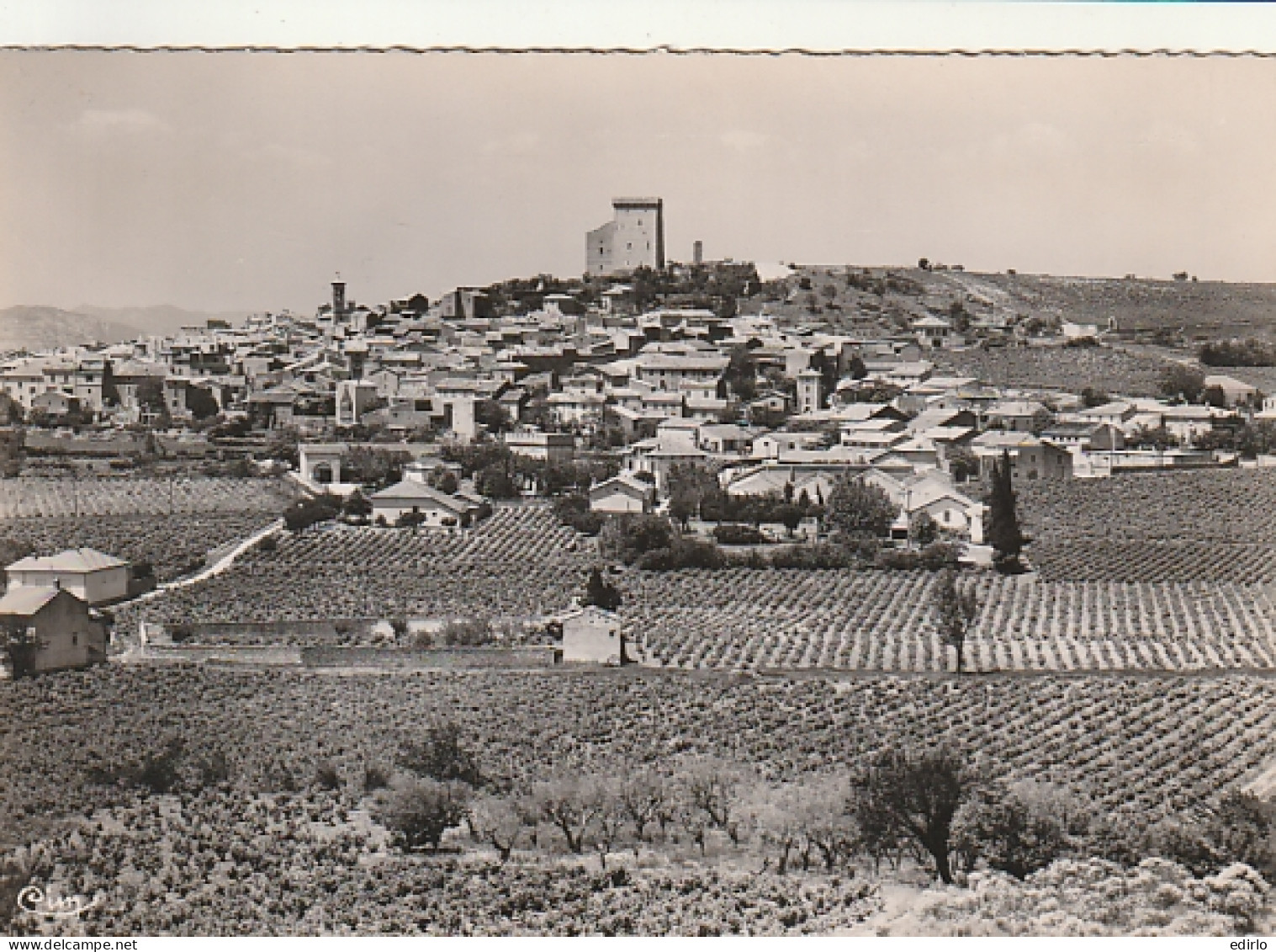 ***  84  ***   CHATEAUNEUF DU PAPE  Vue Générale Et Vignoble - Neuve TTBE  - Chateauneuf Du Pape