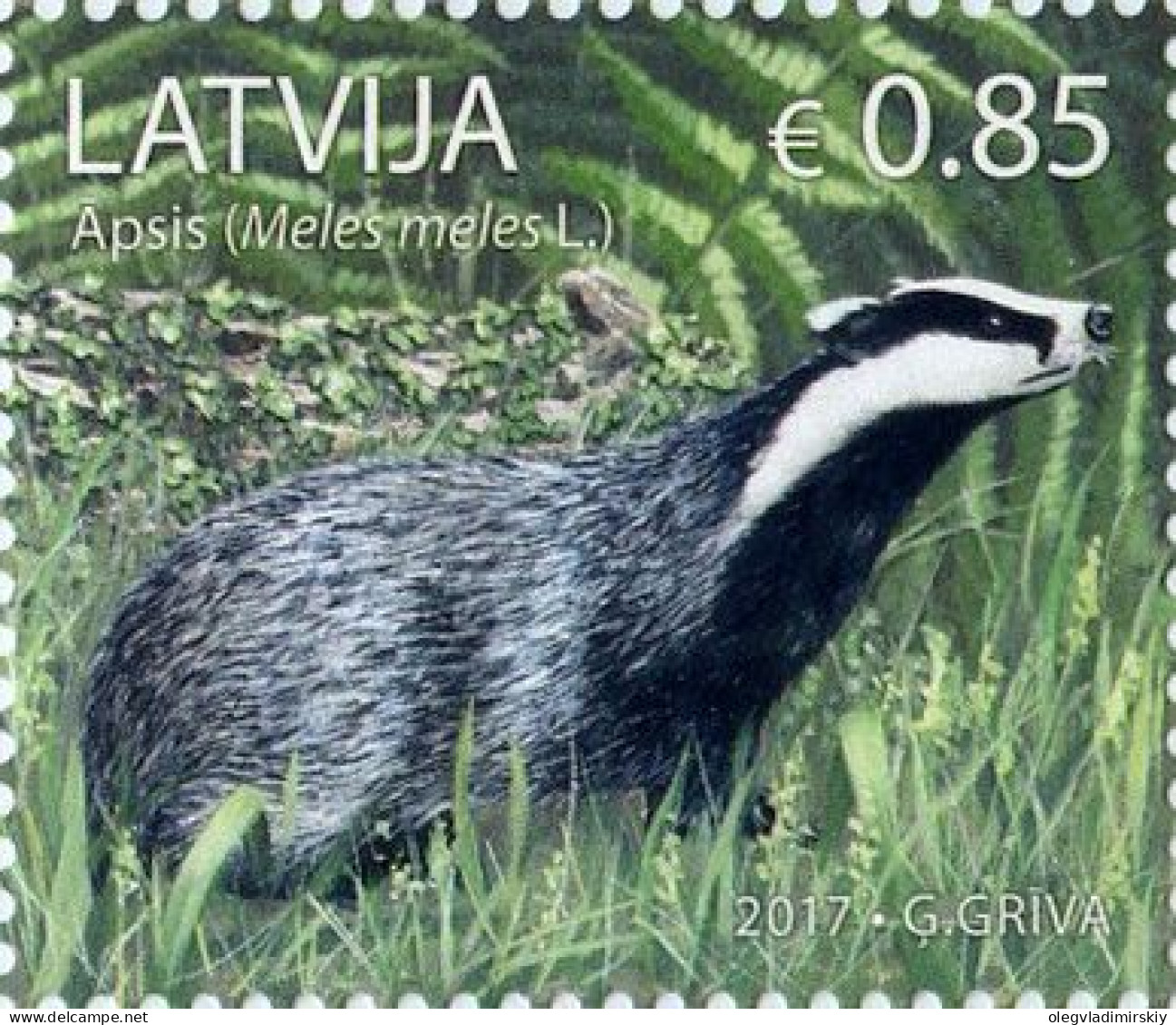 Latvia Lettland Lettonie 2017 European Badger Stamp MNH - Lettland