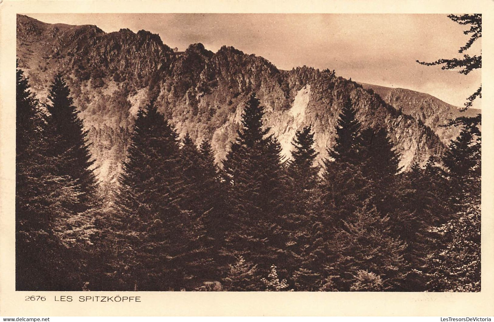 FRANCE - Les Spitzkôpfe - Vue Sur Une Colline - Un Grand Rocher - Carte Postale Ancienne - Andere & Zonder Classificatie