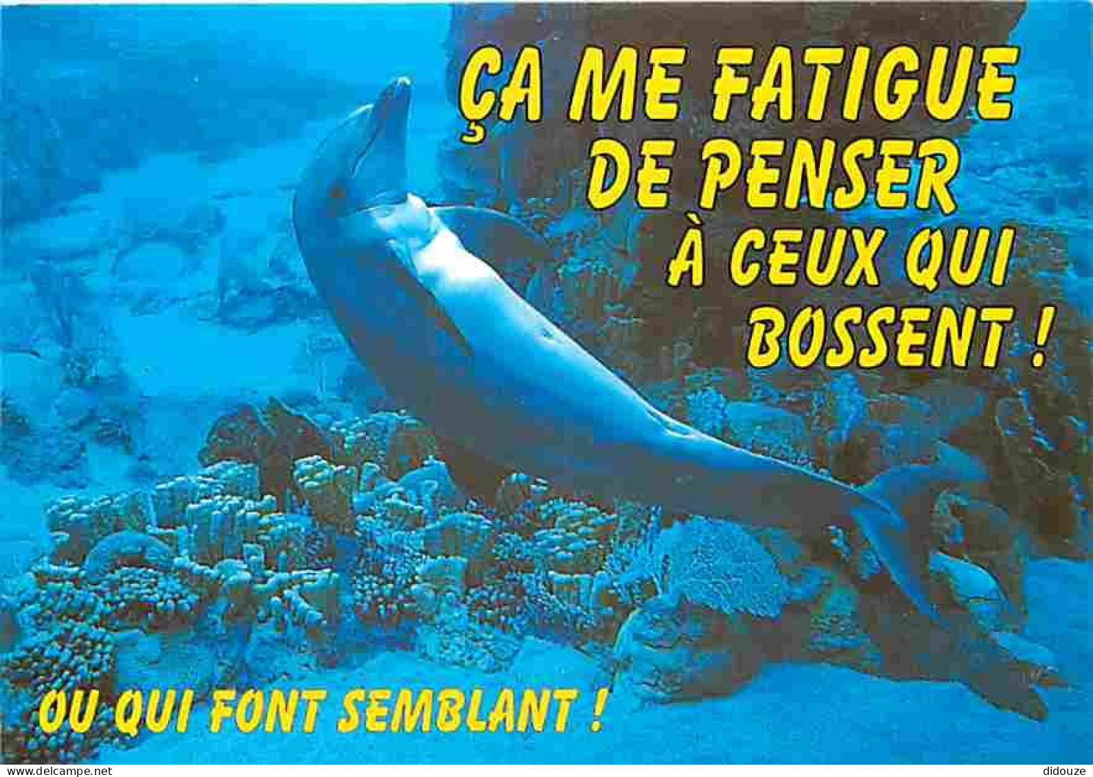 Animaux - Dauphins - CPM - Voir Scans Recto-Verso - Delfines