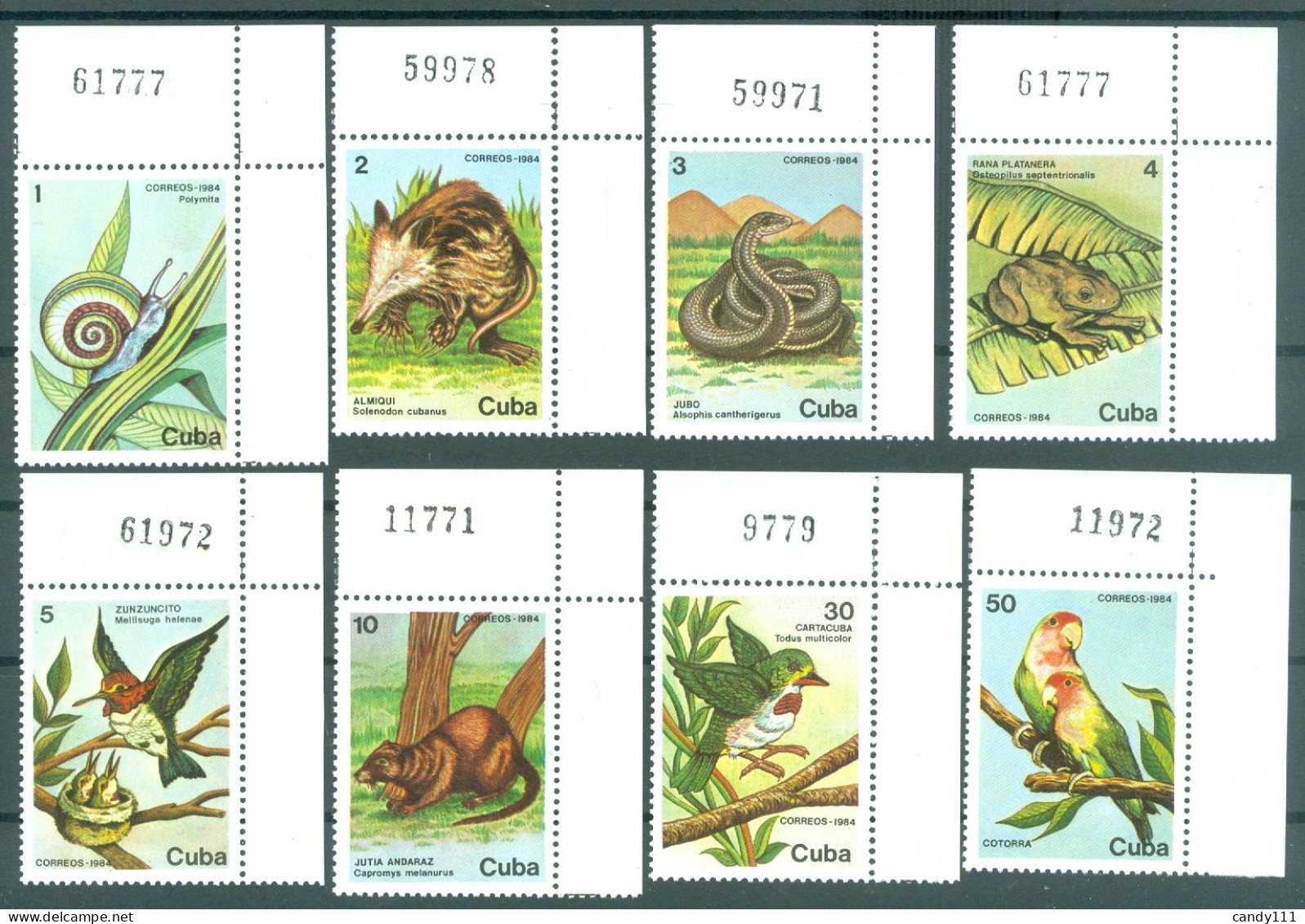 1984 Protected Fauna,Monk Parakeet,emerald-eyed Tree Frog,snail/Caribbean2886MNH - Serpenti