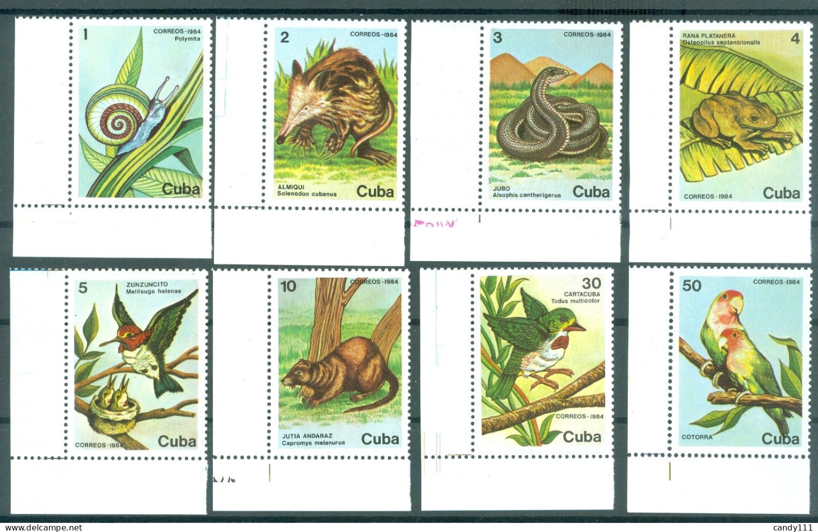 1984 Protected Fauna,Monk Parakeet,emerald-eyed Tree Frog,snail-Caribbean2886MNH - Serpientes