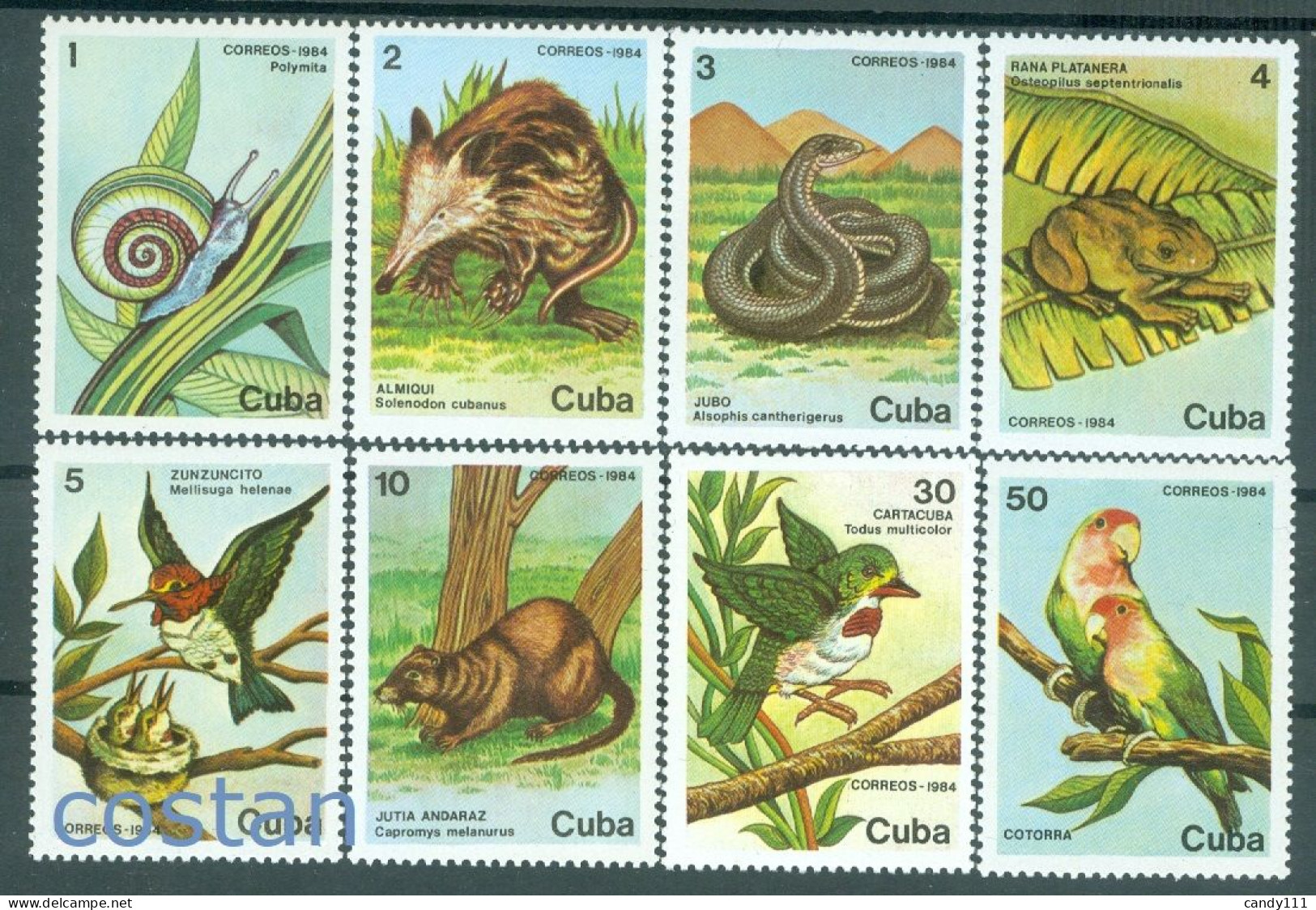 1984 Protected Fauna,Monk Parakeet, Tree Frog,snail,Caribbean,2886,MNH - Papegaaien, Parkieten