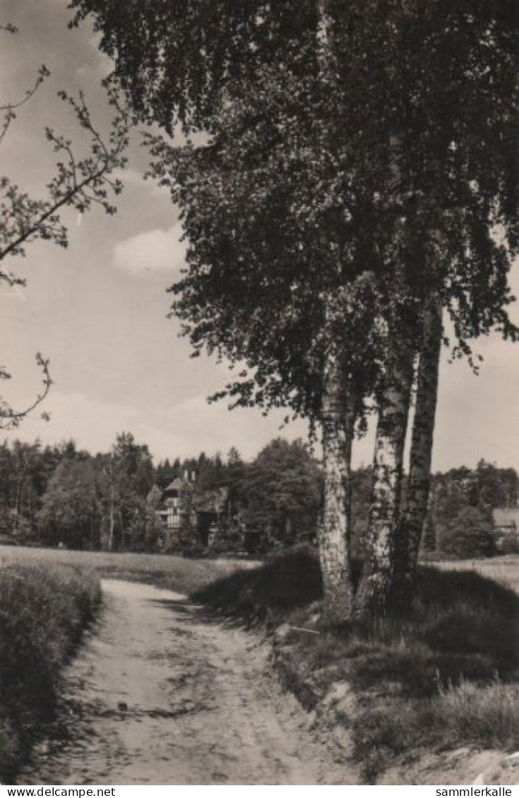 73434 - Dahlen-Schmannewitz - Birkenweg - 1958 - Dahlen