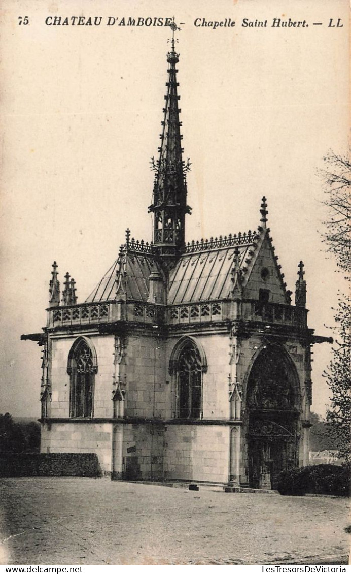 FRANCE - Amboise - Le Château - Chapelle Saint Hubert - Carte Postale Ancienne - Amboise