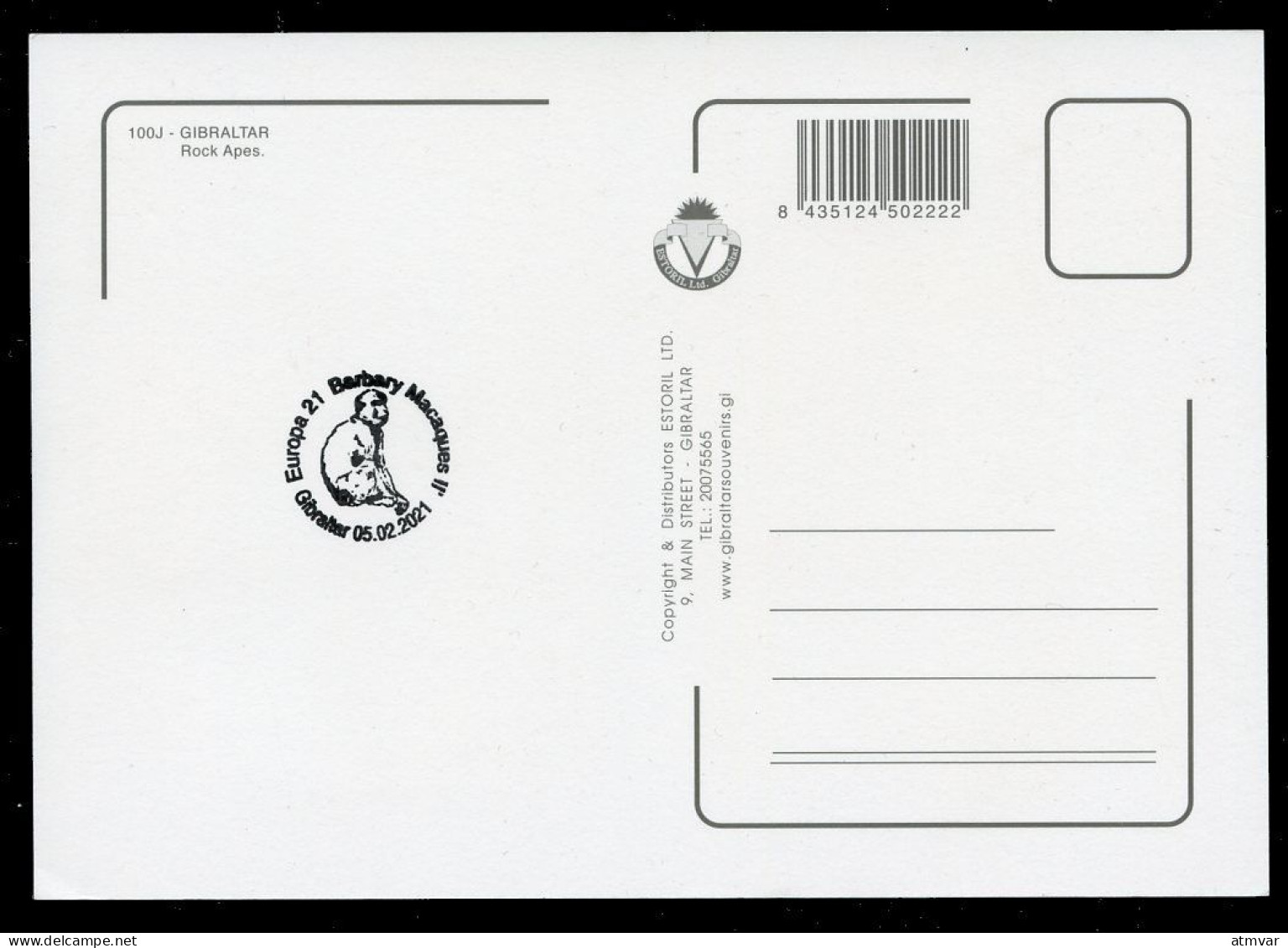 GIBRALTAR (2021). Carte Maximum Card EUROPA - Barbary Macaques (Macaca Sylvanus), Rock Ape, Mono, Macaque, Berberaffe - Gibraltar