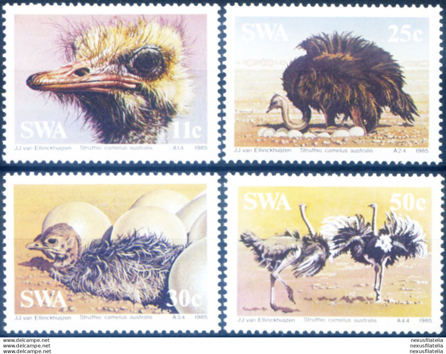 Fauna. Struzzi 1985. - Namibie (1990- ...)