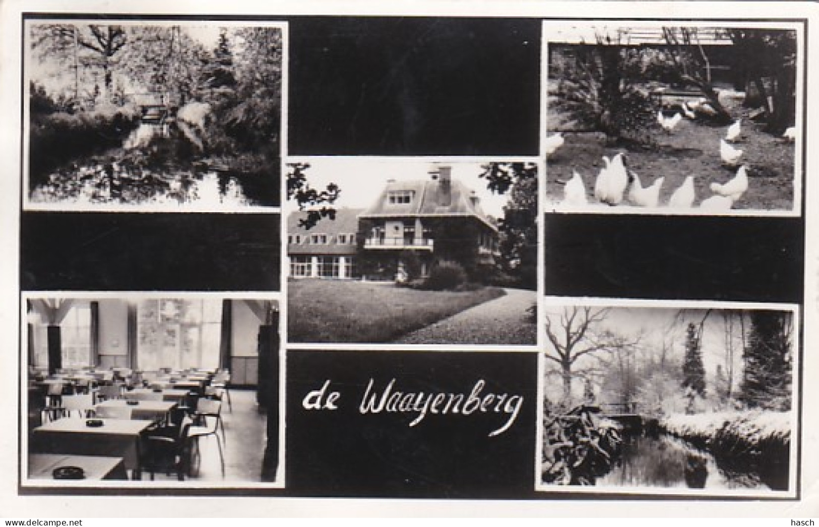 2703156Epe, ,,De Waaijenberg.’’ Multivues. – 1957. (kleine Vouwen In De Hoeken) - Epe