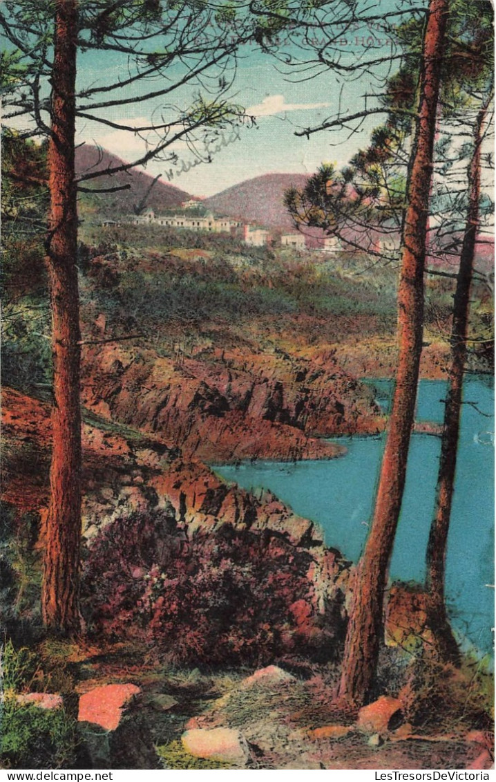 MONDE - Vue Dans Une Forêt - Vue De Différents Maisons Au Loin - Vue Sur Le Lac - Carte Postale Ancienne - World