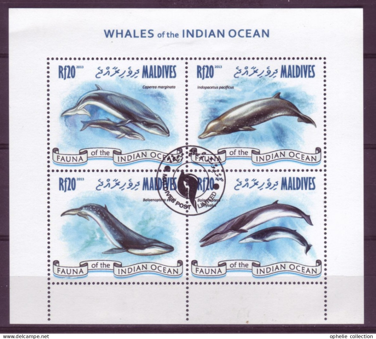 Asie - Maldives - 2013 - BLF - Whales Of The Indian Ocean - 6432 - Malediven (1965-...)