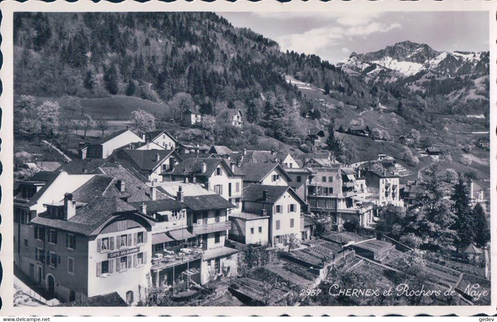 Chernex Sur Montreux VD, Café Du Raisin (2957) - Lavigny