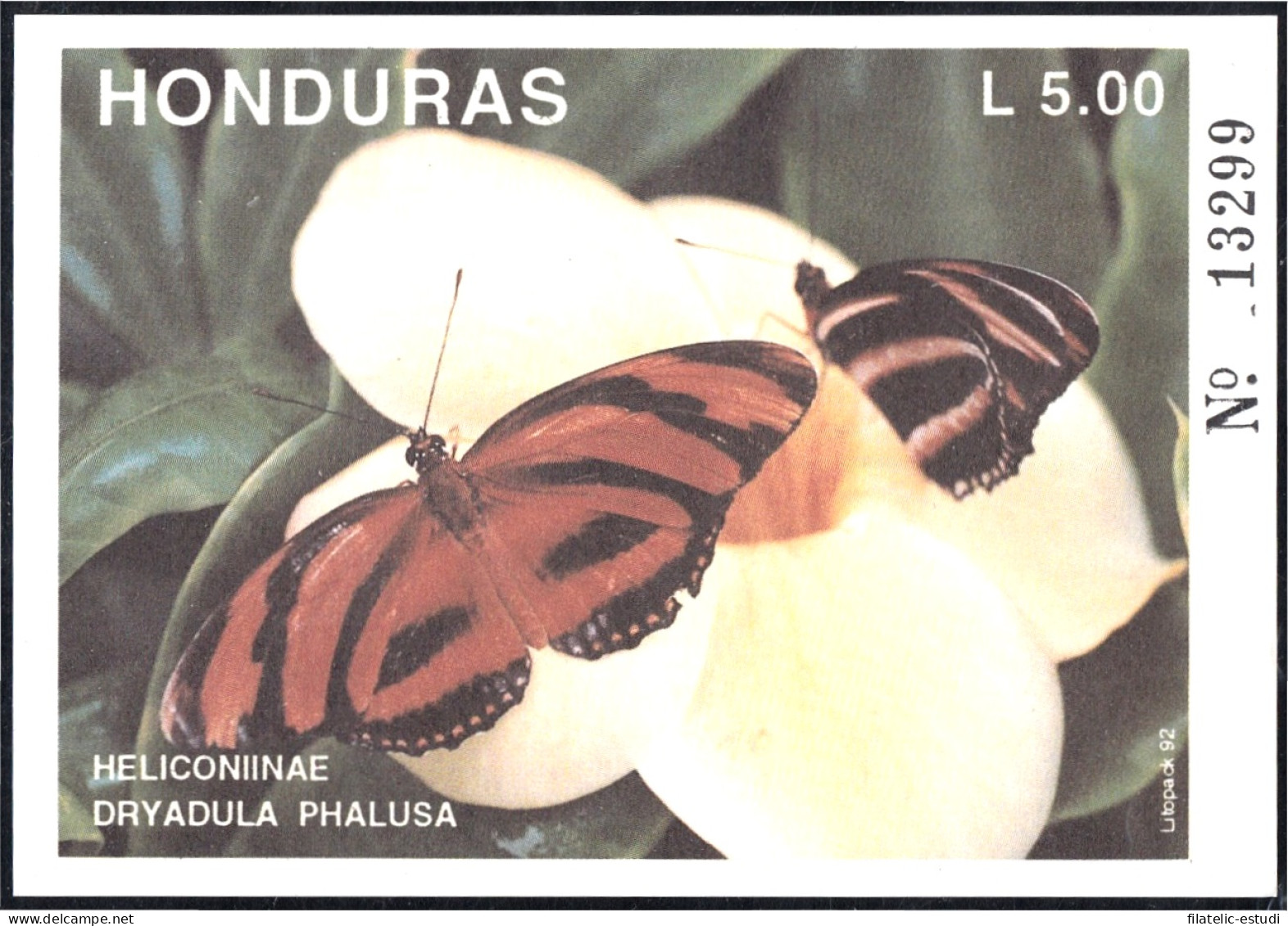 Honduras HB 48 1992 Mariposas Butteflies Fauna MNH - Honduras