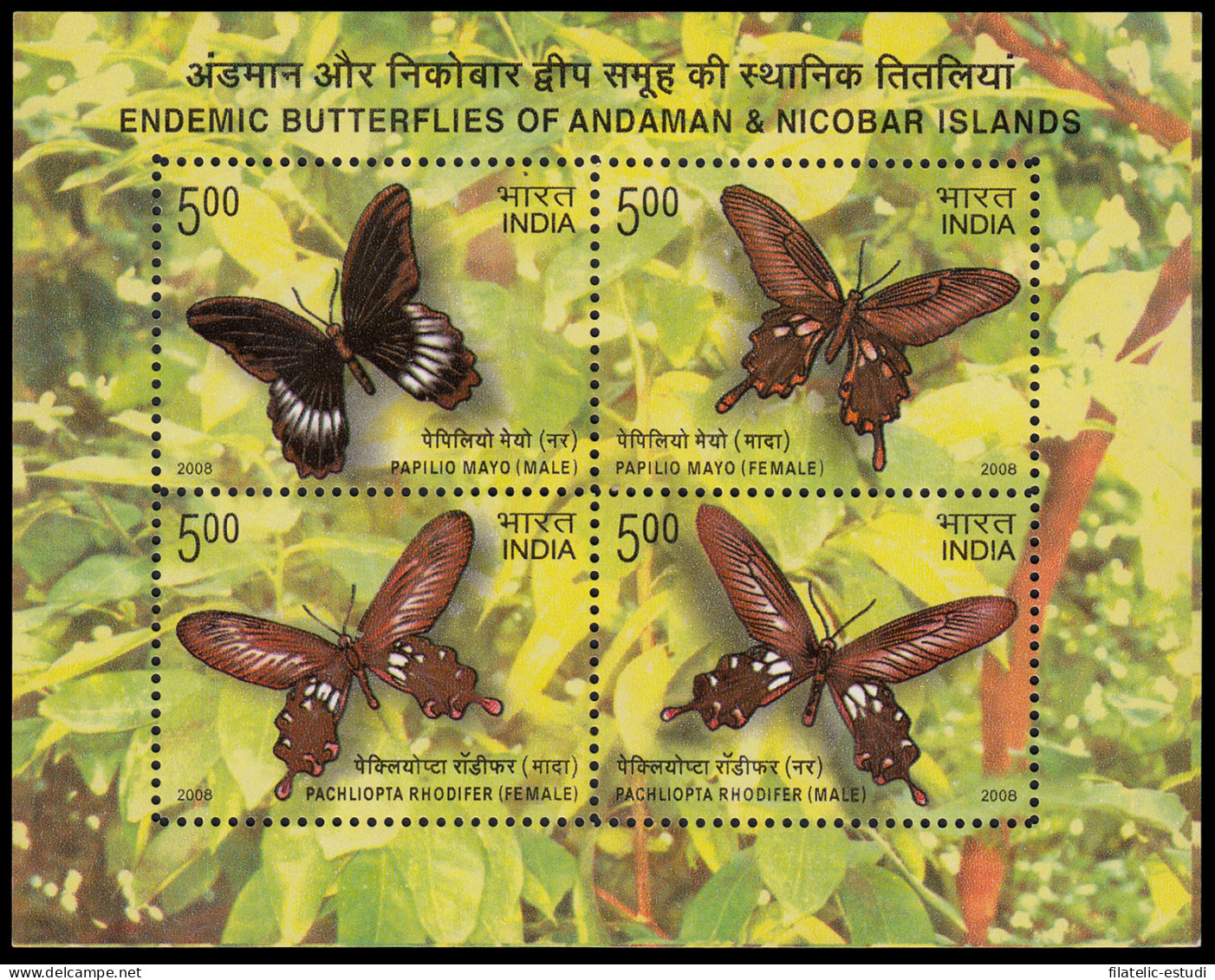 India HB 50 2008 Fauna Mariposas MNH - Otros & Sin Clasificación
