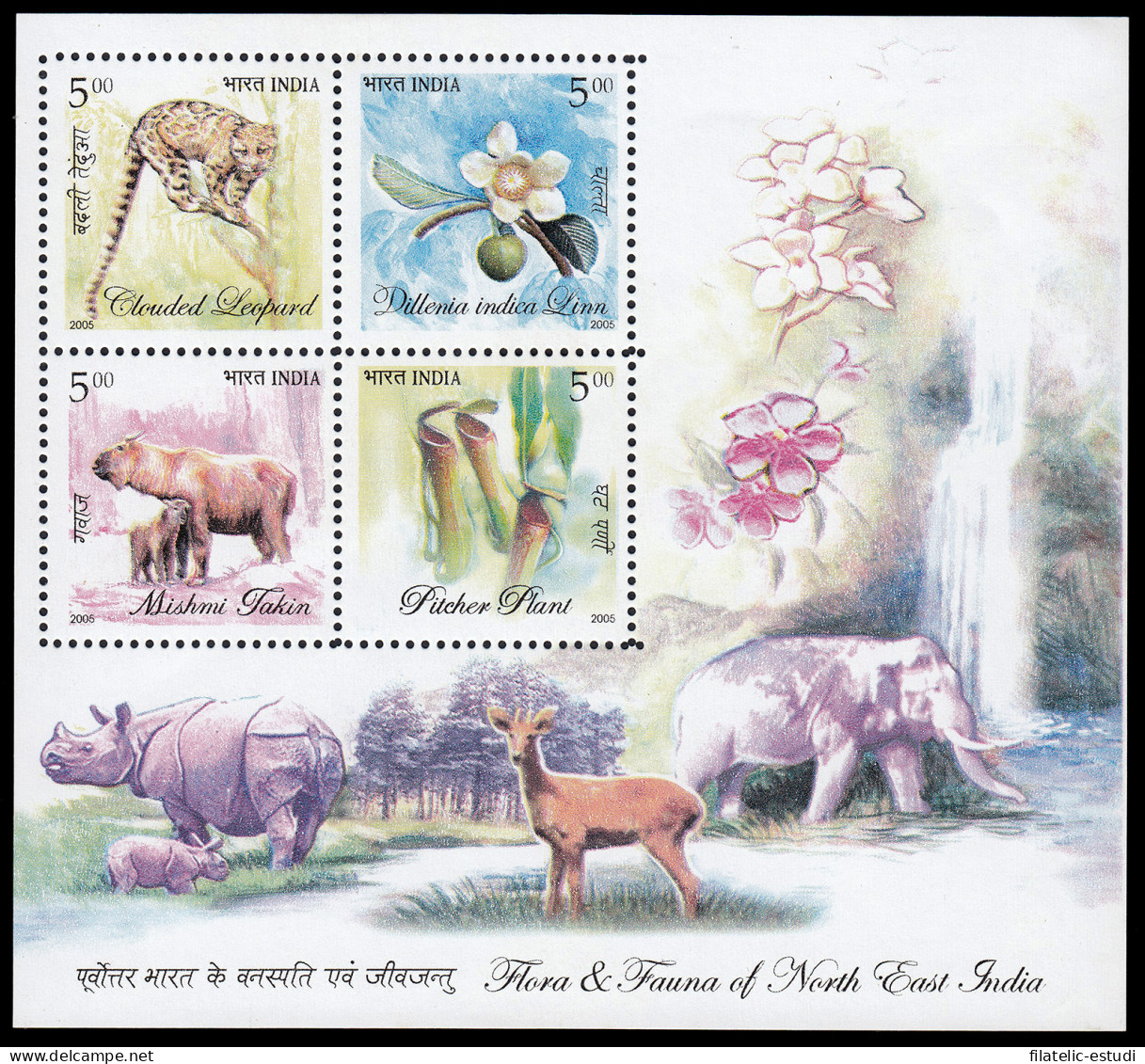 India HB 30 2005 Flora Y Fauna Del Noreste De La India MNH - Autres & Non Classés