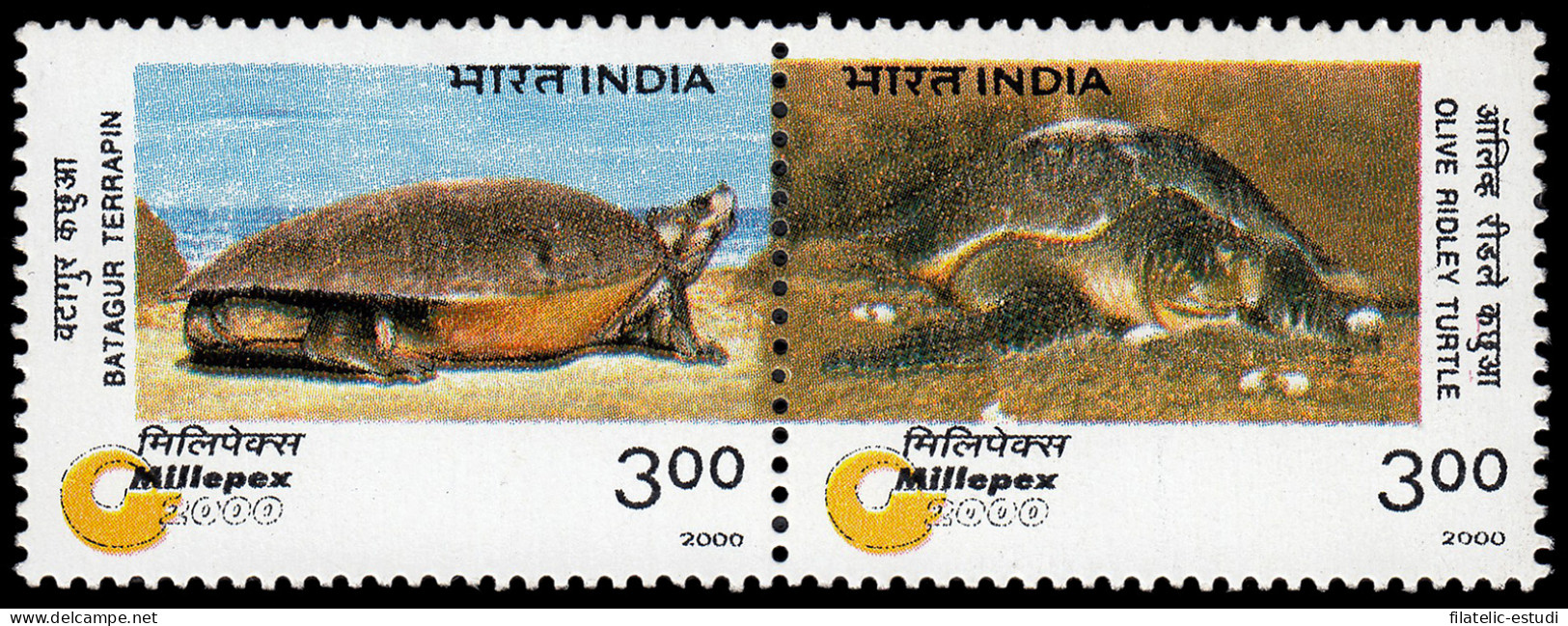 India 1507/08 2000 Animales En Peligro De Extinción Tortugas MNH - Otros & Sin Clasificación