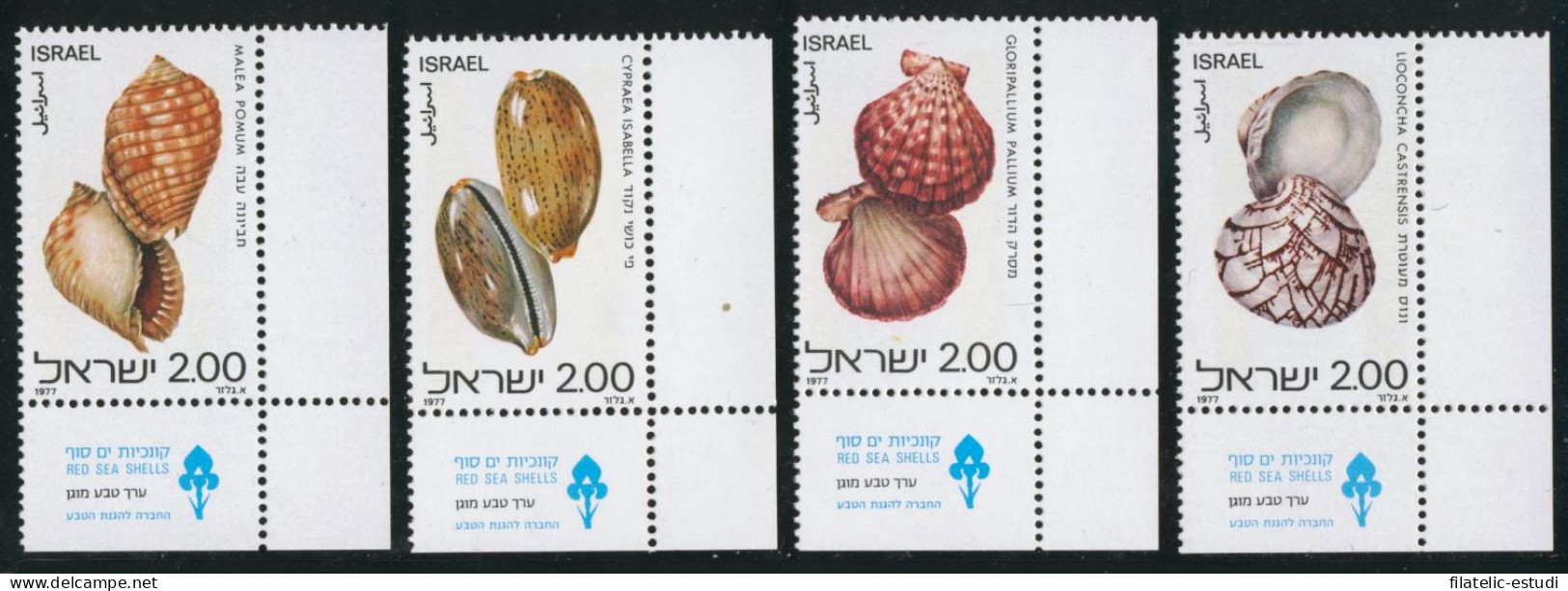 FL2/S Israel 668/71 1977 Conchas Del Mar Rojo - Other & Unclassified