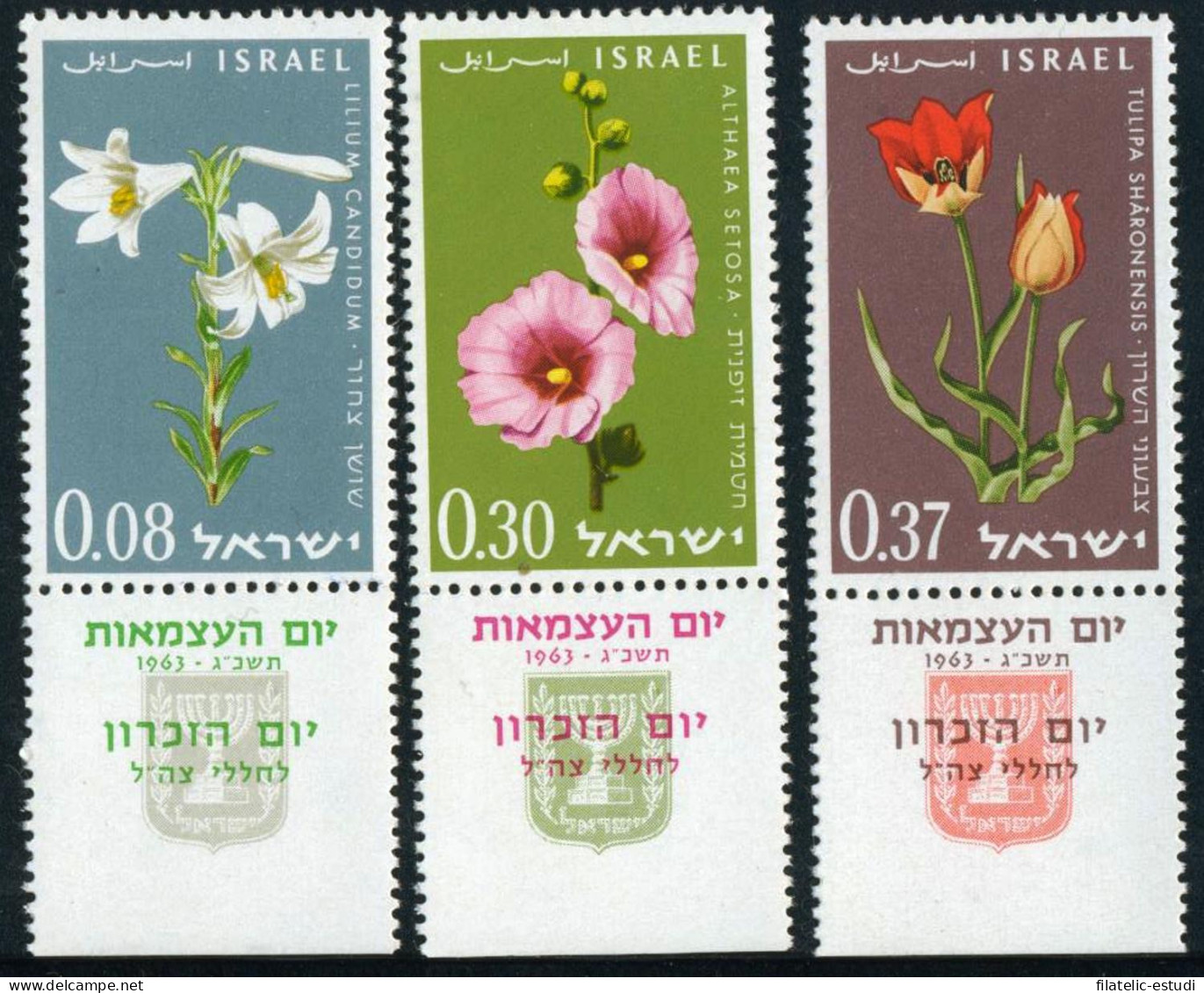 FL2/S Israel  234/36 Flores - Other & Unclassified