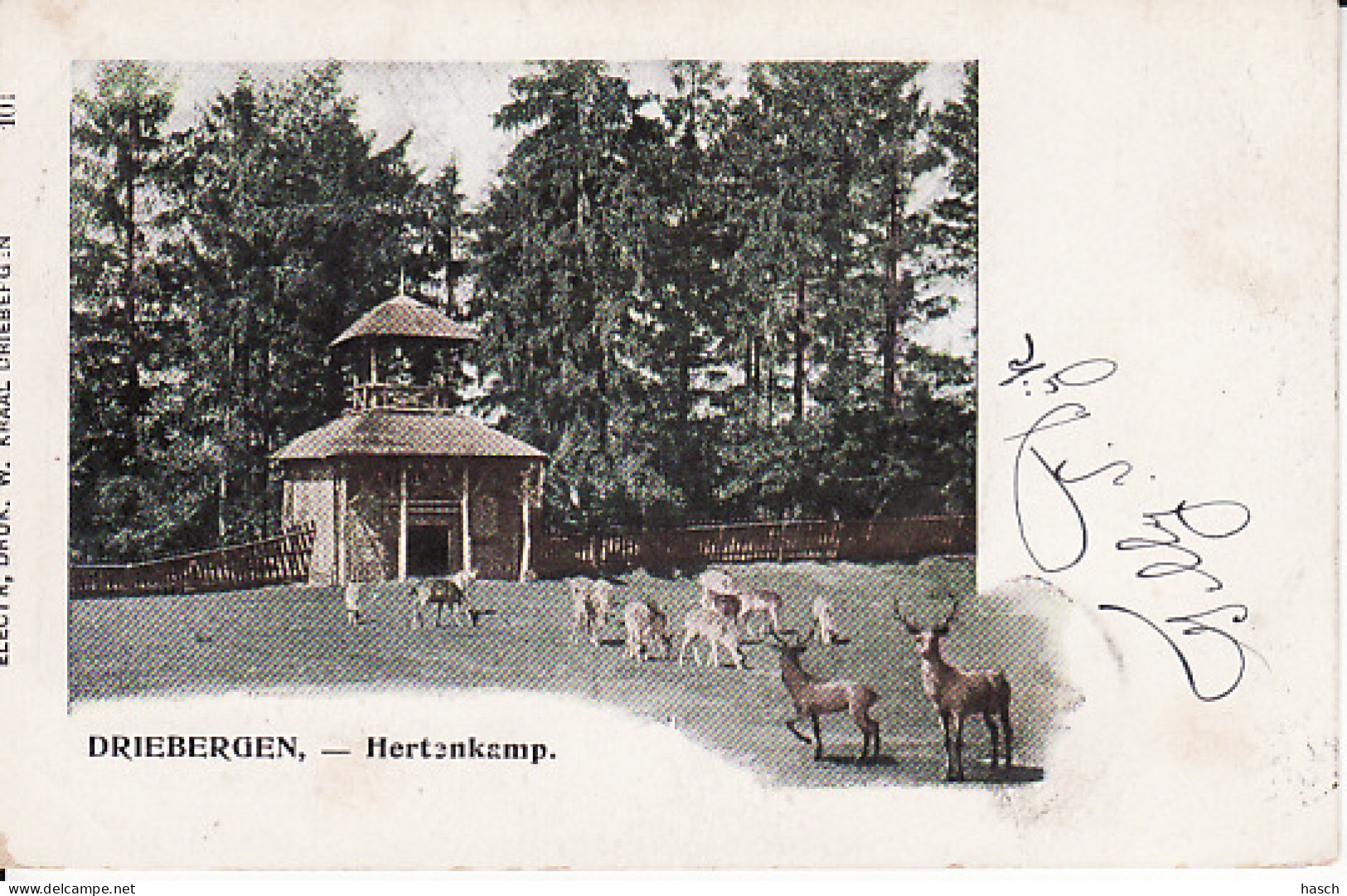 2769	25	Driebergen, Hertenkamp (poststempel 1903) - Driebergen – Rijsenburg