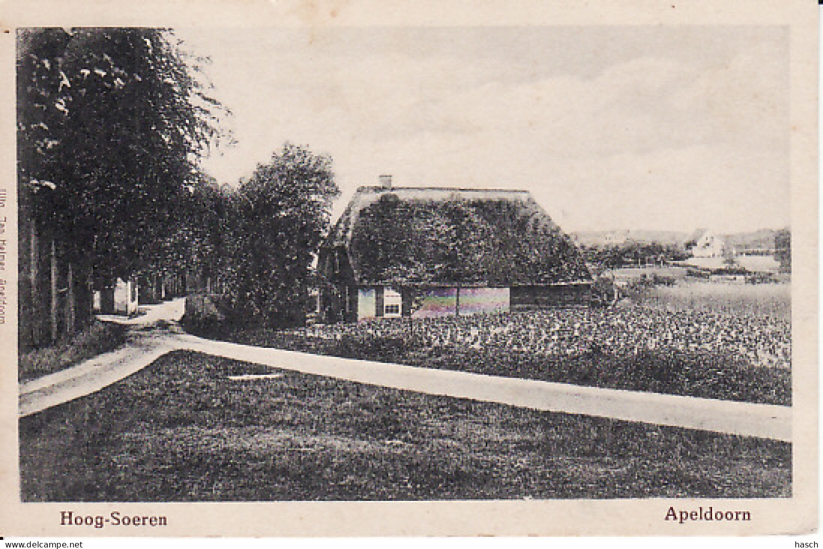 2769	48	Apeldoorn, Hoog Soeren - Apeldoorn