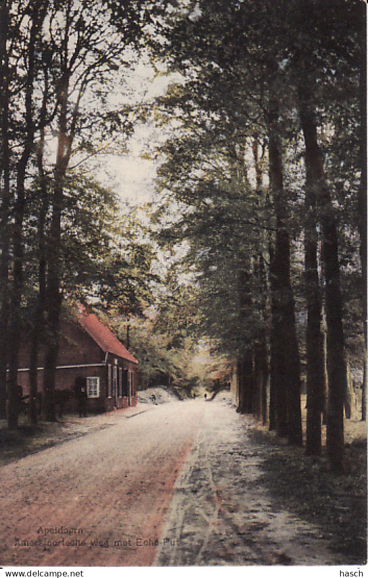 2769	194	Apeldoorn, Amersfoortsche Weg Met Echo Put (zie Hoeken) - Apeldoorn