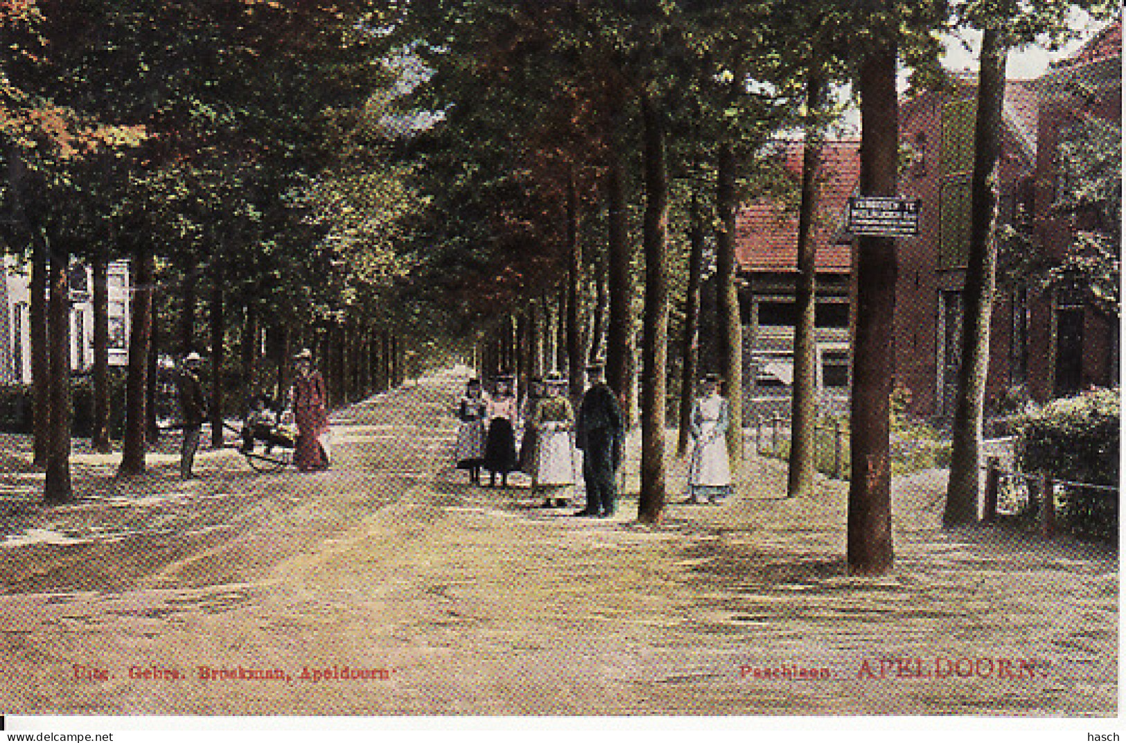 2769	204	Apeldoorn, Paschlaan Op Bordje Staat ,,Verboden Te Wielrijden’’ (poststempel 1907) - Apeldoorn