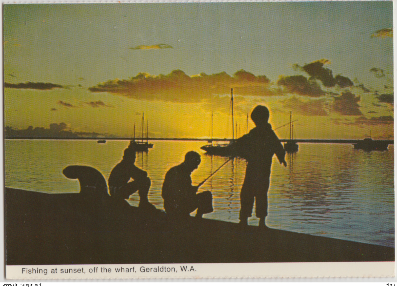 WESTERN AUSTRALIA WA Fishing Off Wharf GERALDTON Murray Views W12 Postcard C1970s - Geraldton