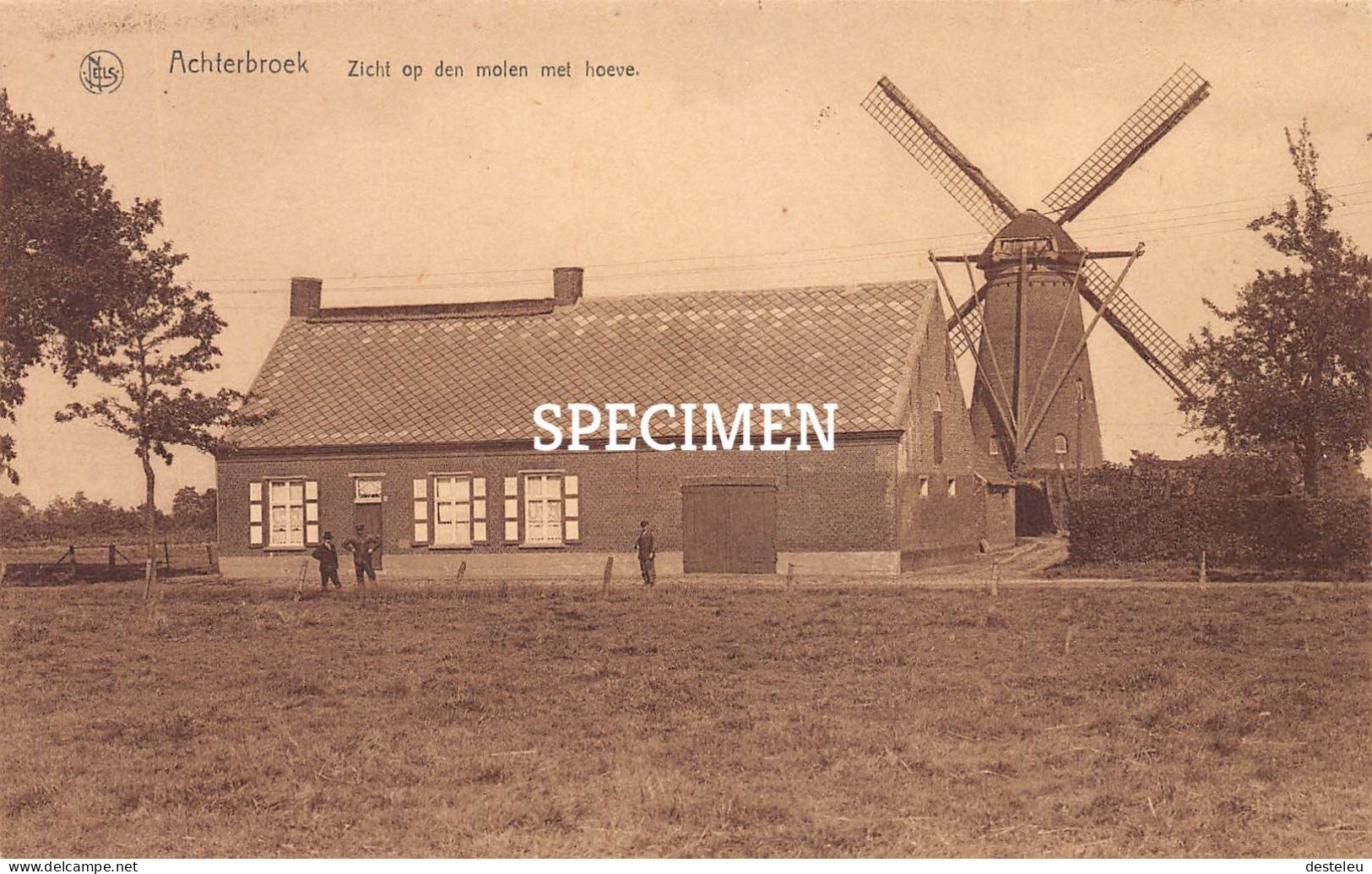 Zicht Op Den Molen Met Hoeve  - Achterbroek - Kalmthout