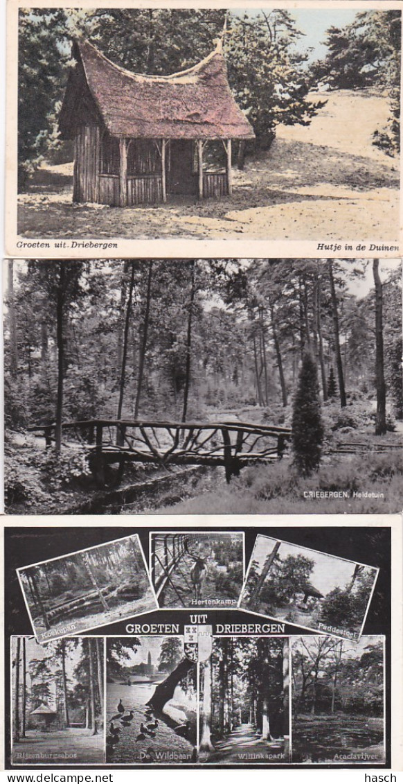 2775	62	Driebergen, Groeten Uit – Heidetuin – Hutje In De Duinen (3 Kaarten) - Driebergen – Rijsenburg