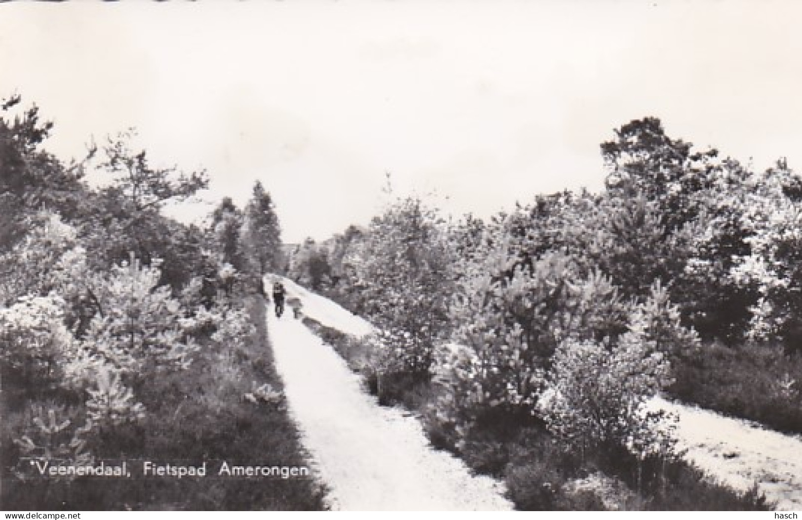 2775	228	Veenendaal, Fietspad Amerongen (zie Hoeken En Achterkant) - Veenendaal