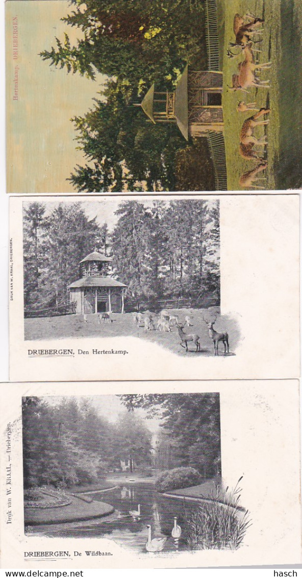 277564Driebergen, De Wildbaan – Den Hertenkamp – Hertenkamp (3 Kaarten) - Driebergen – Rijsenburg