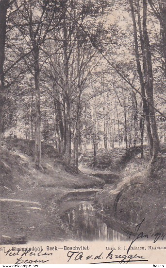 2776	15	Bloemendaal, Beek Boschvliet (poststempel 1903) - Bloemendaal