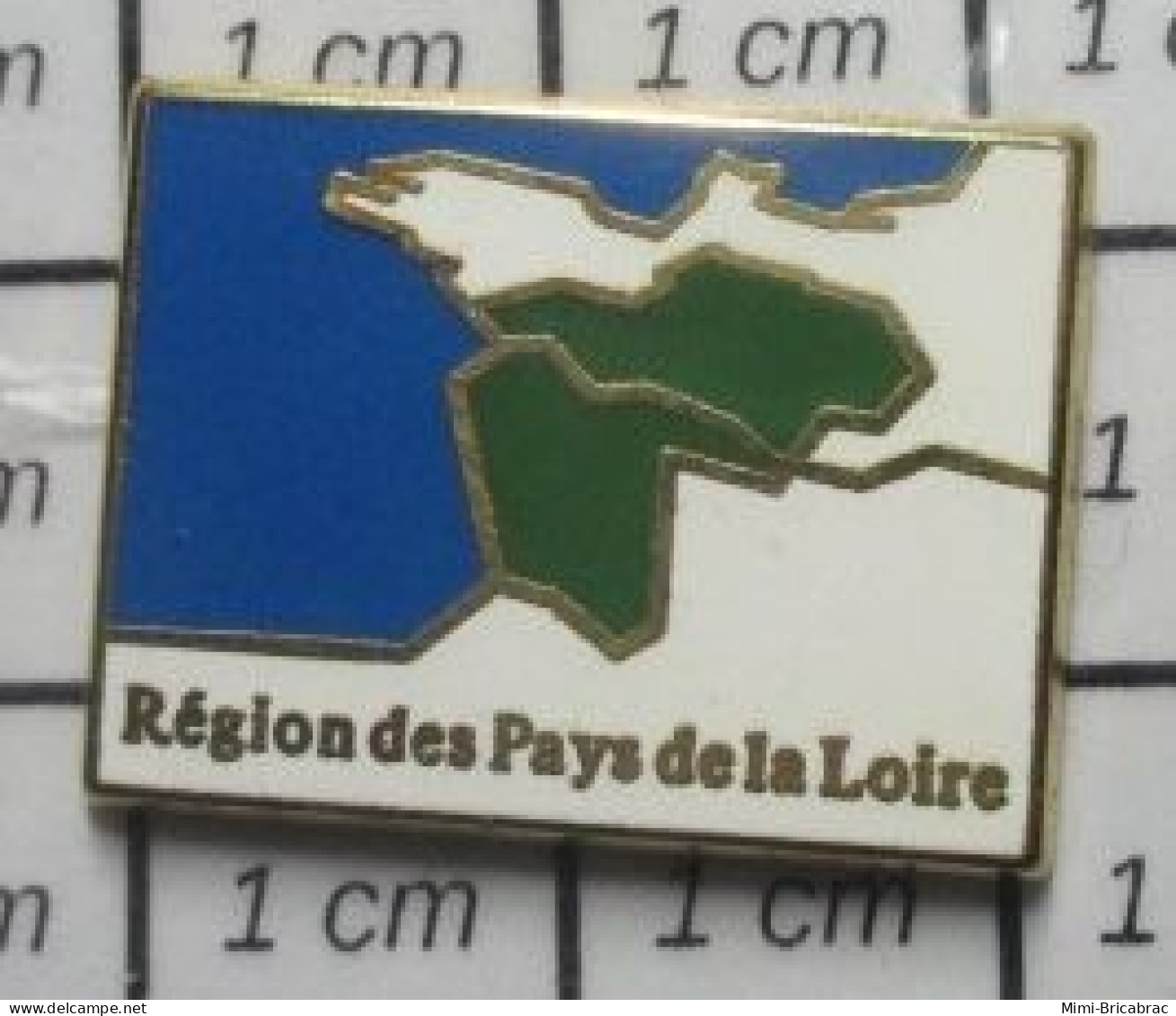 718B  Pin's Pins / Beau Et Rare / ADMINISTRATIONS / REGION DES PAYS DE LA LOIRE - Administration