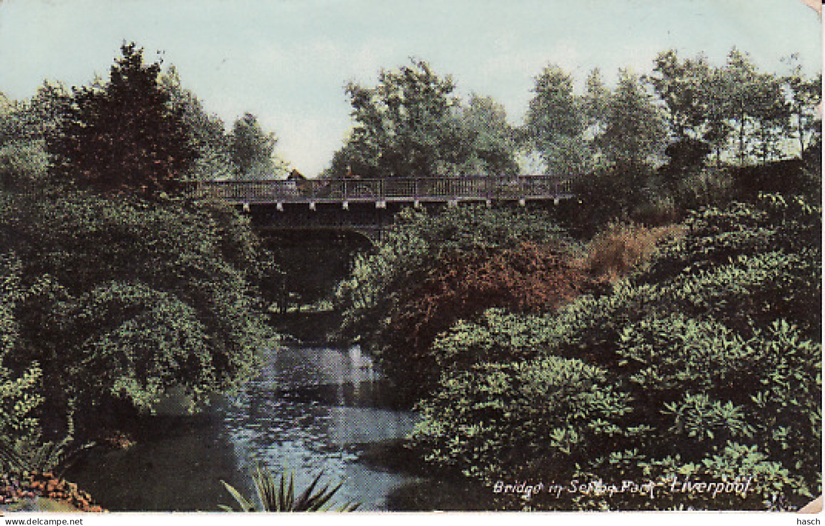 2785	174	Liverpool, Bridge In Sefton Park 1906 (see Corners) - Liverpool