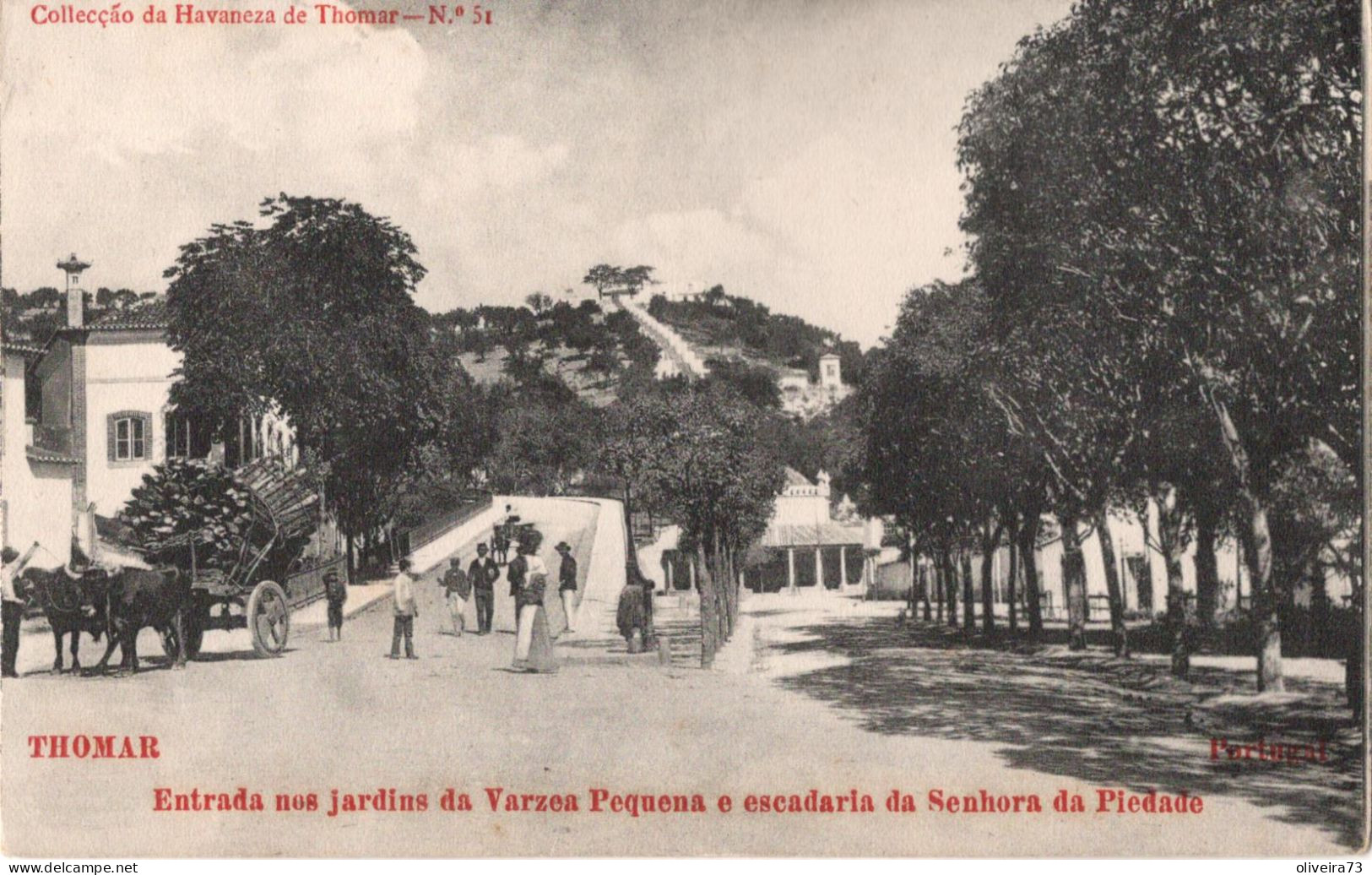 TOMAR - THOMAR - Entrada Nos Jardins Da Varzea Pequena E Escadaria Da Senhora Da Piedade - PORTUGAL - Santarem