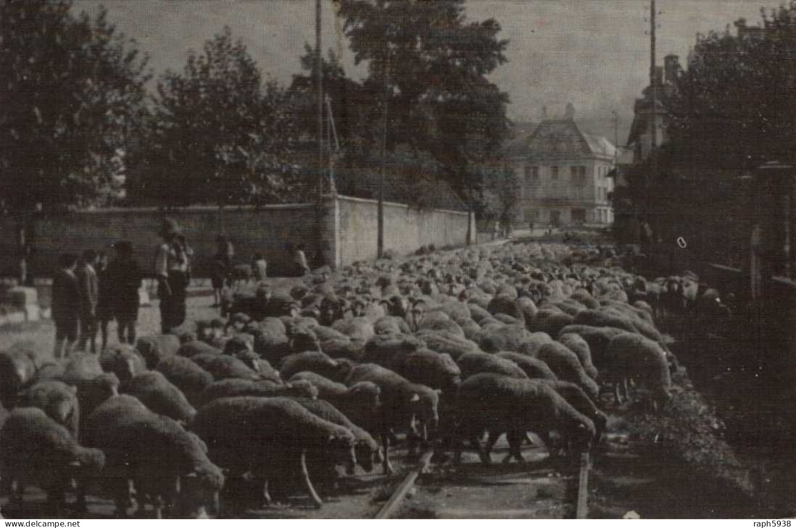 SAINT LAURENT DU PONT ( ISÈRE )  RÉÉDITION  AUTREFOIS LA TRANSHUMANCE - Saint-Laurent-du-Pont