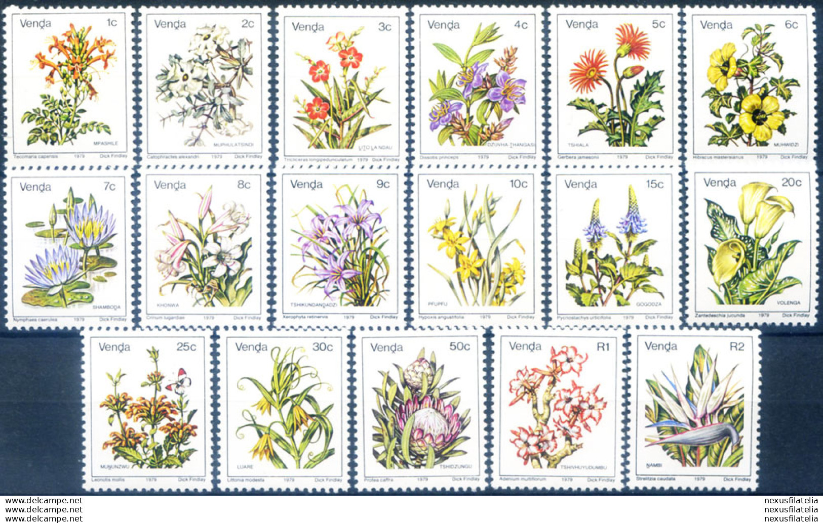 Definitiva. Flora. Fiori 1979. - Namibia (1990- ...)
