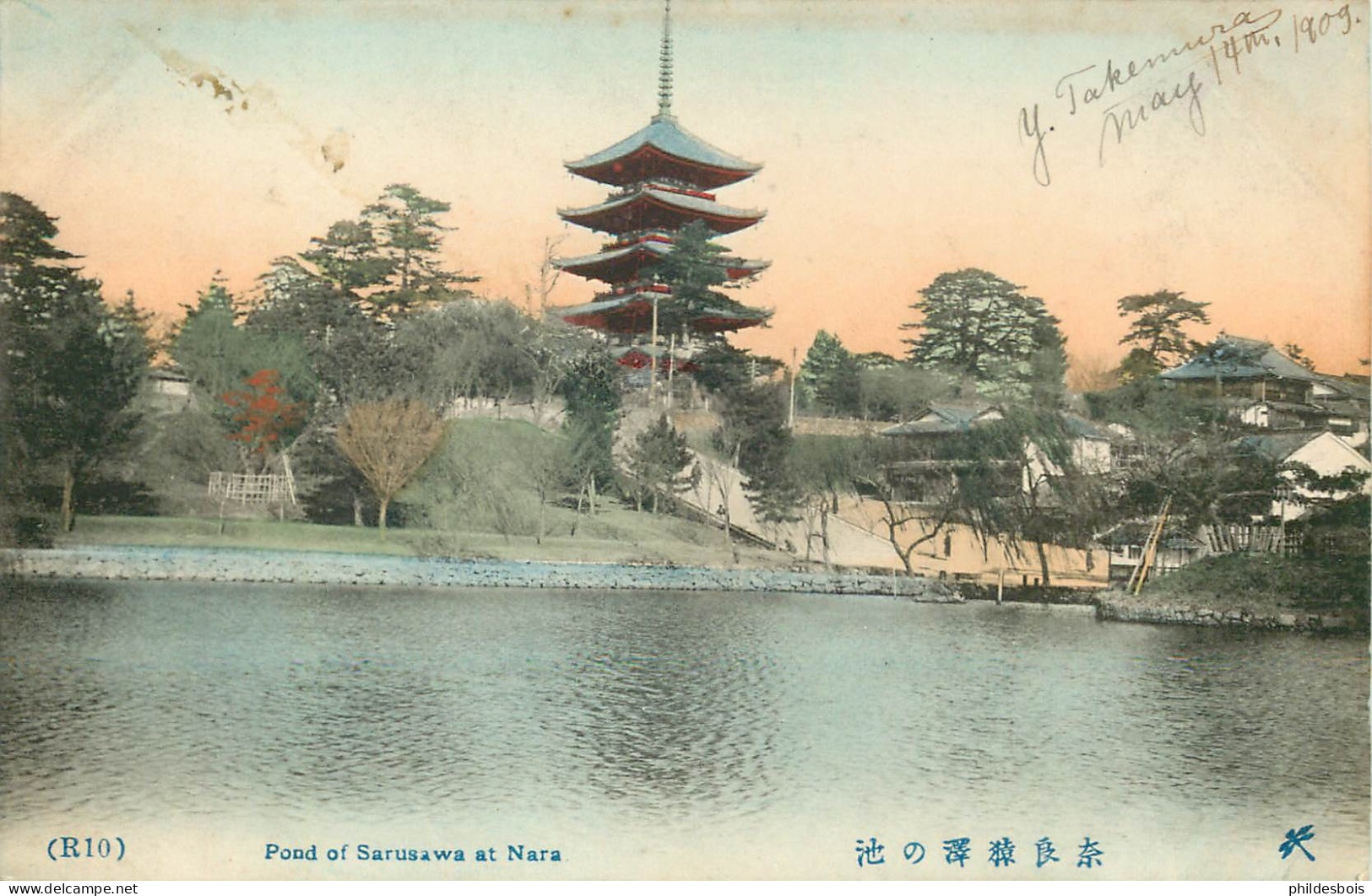 JAPON  Pond Of Sarusawa At Nara - Other & Unclassified