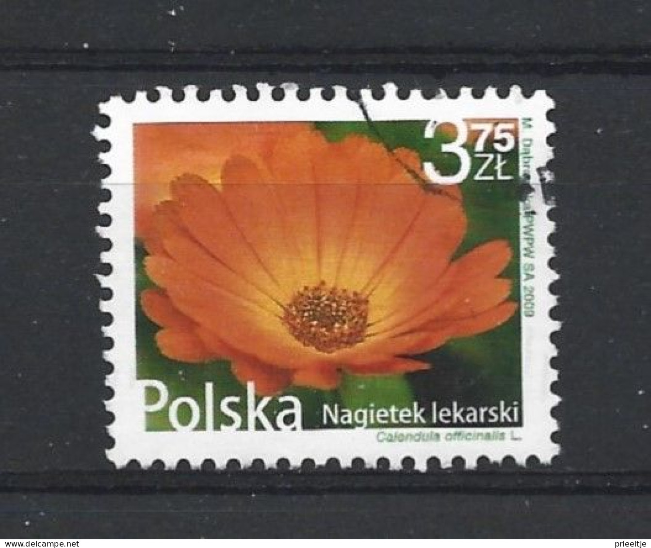 Poland 2009 Flower Y.T. 4166 (0) - Oblitérés