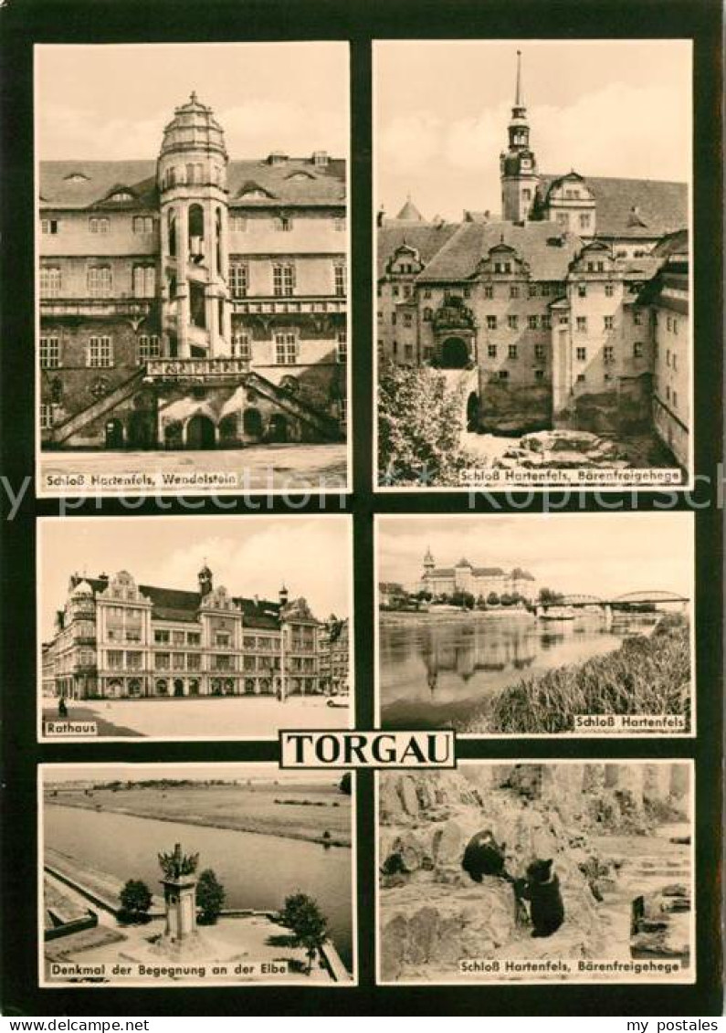 73132346 Torgau Schloss Hartenfels Wendelstein Baerenfreigehege Rathaus Denkmal  - Torgau