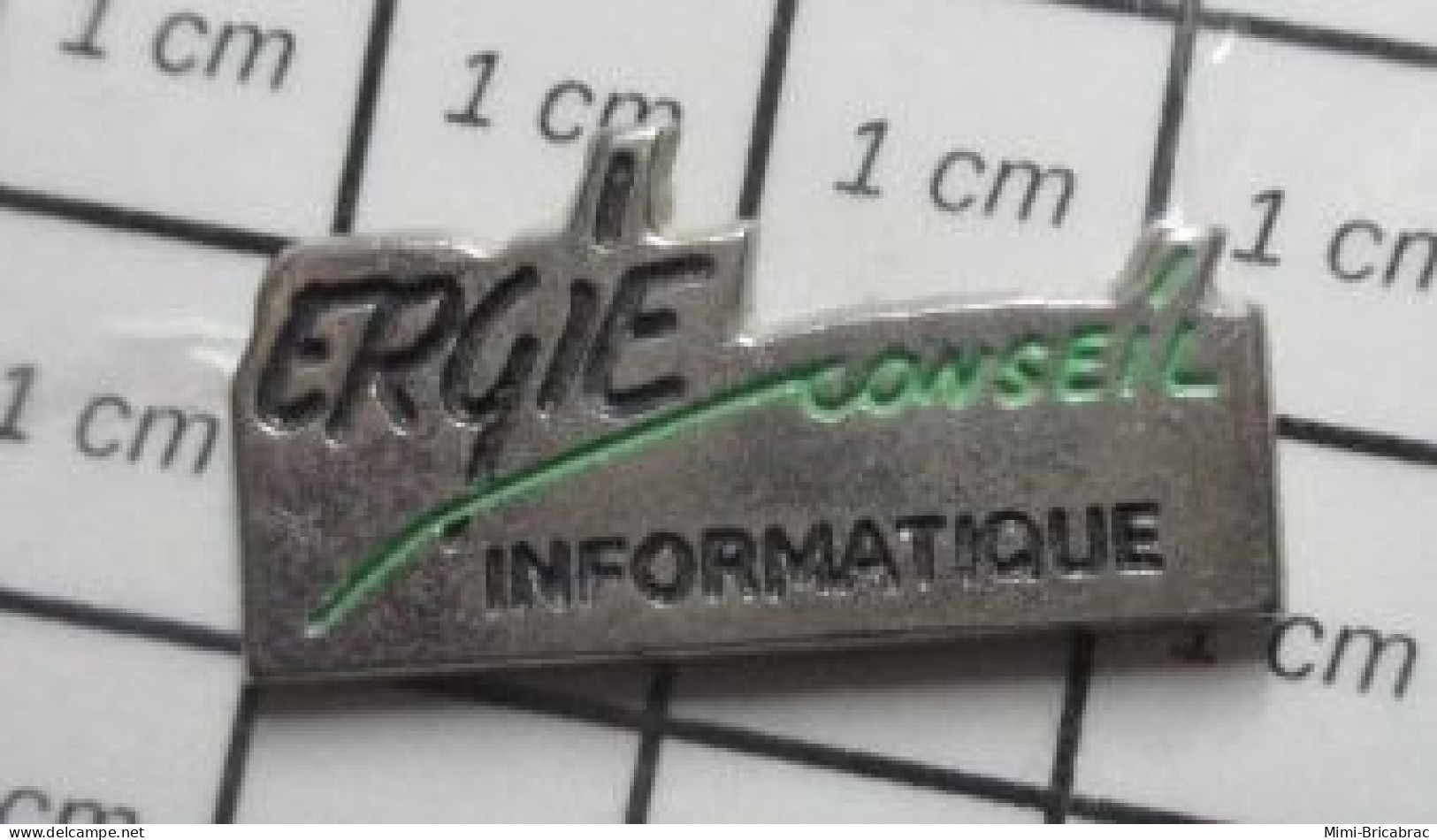 412B  Pin's Pins / Beau Et Rare / INFORMATIQUE / ERGIE CONSEIL - Informatique