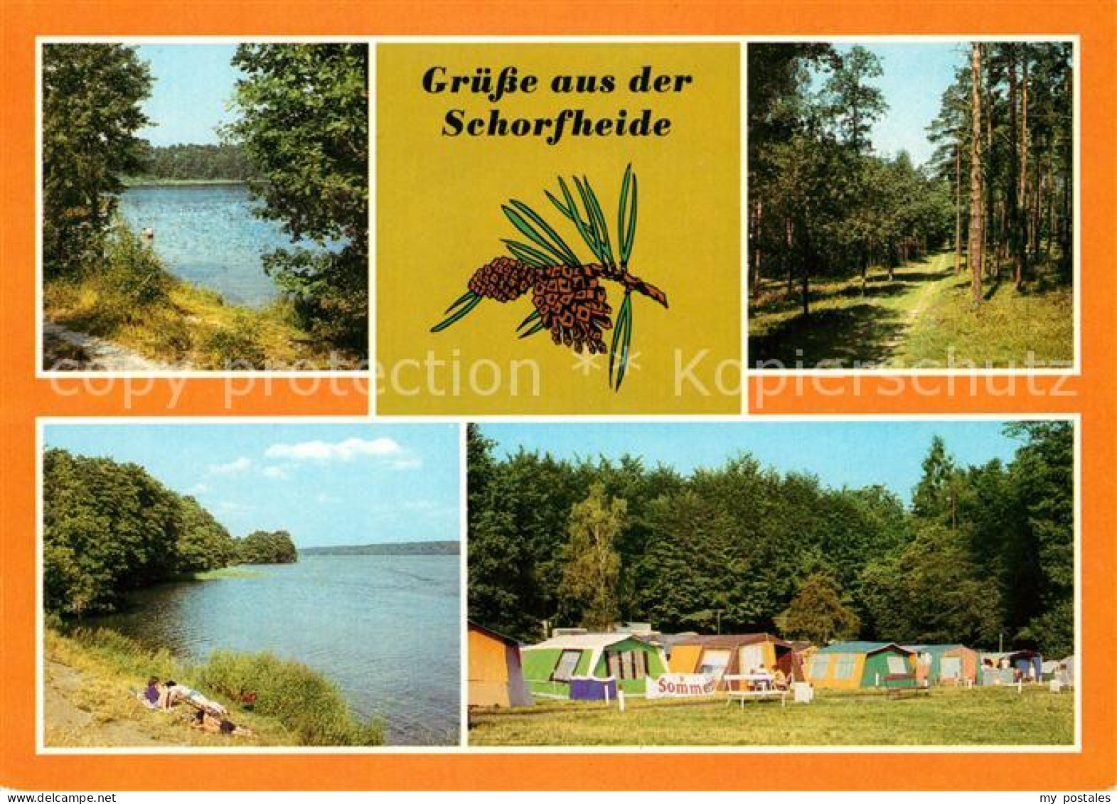 73130235 Schorfheide Grossvaetersee Campingplatz Werbellinsee  Schorfheide - Finowfurt