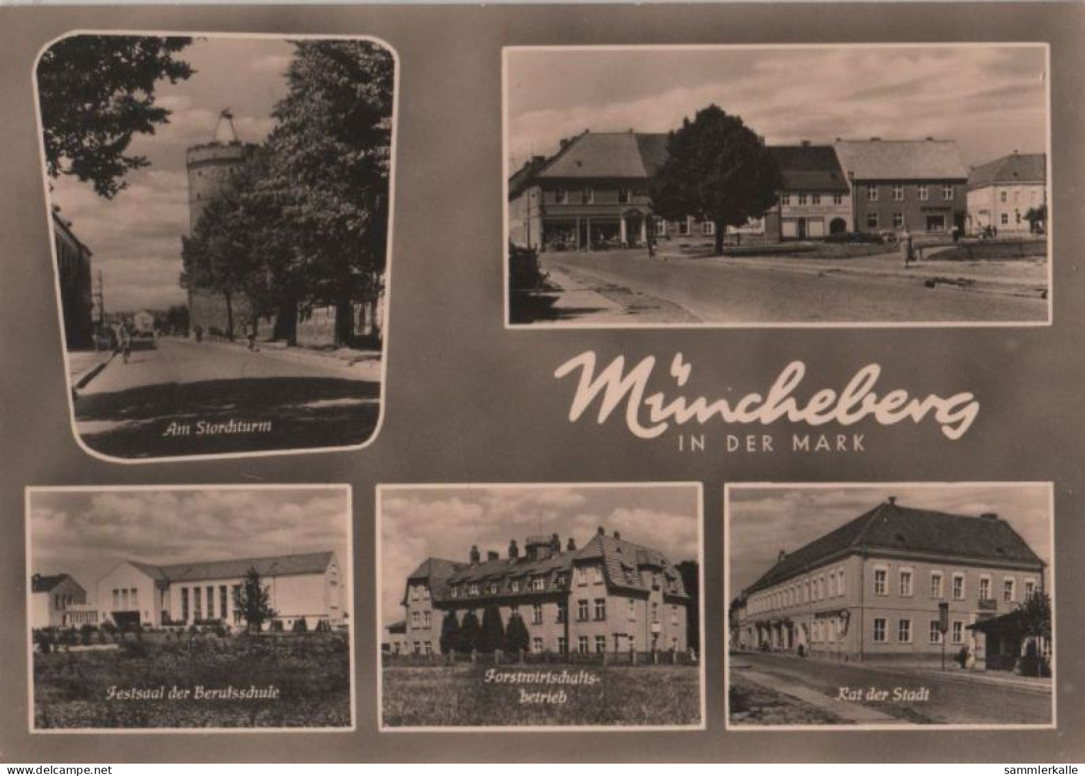 39853 - Müncheberg - U.a. Festsaal Der Berufsschule - 1964 - Muencheberg