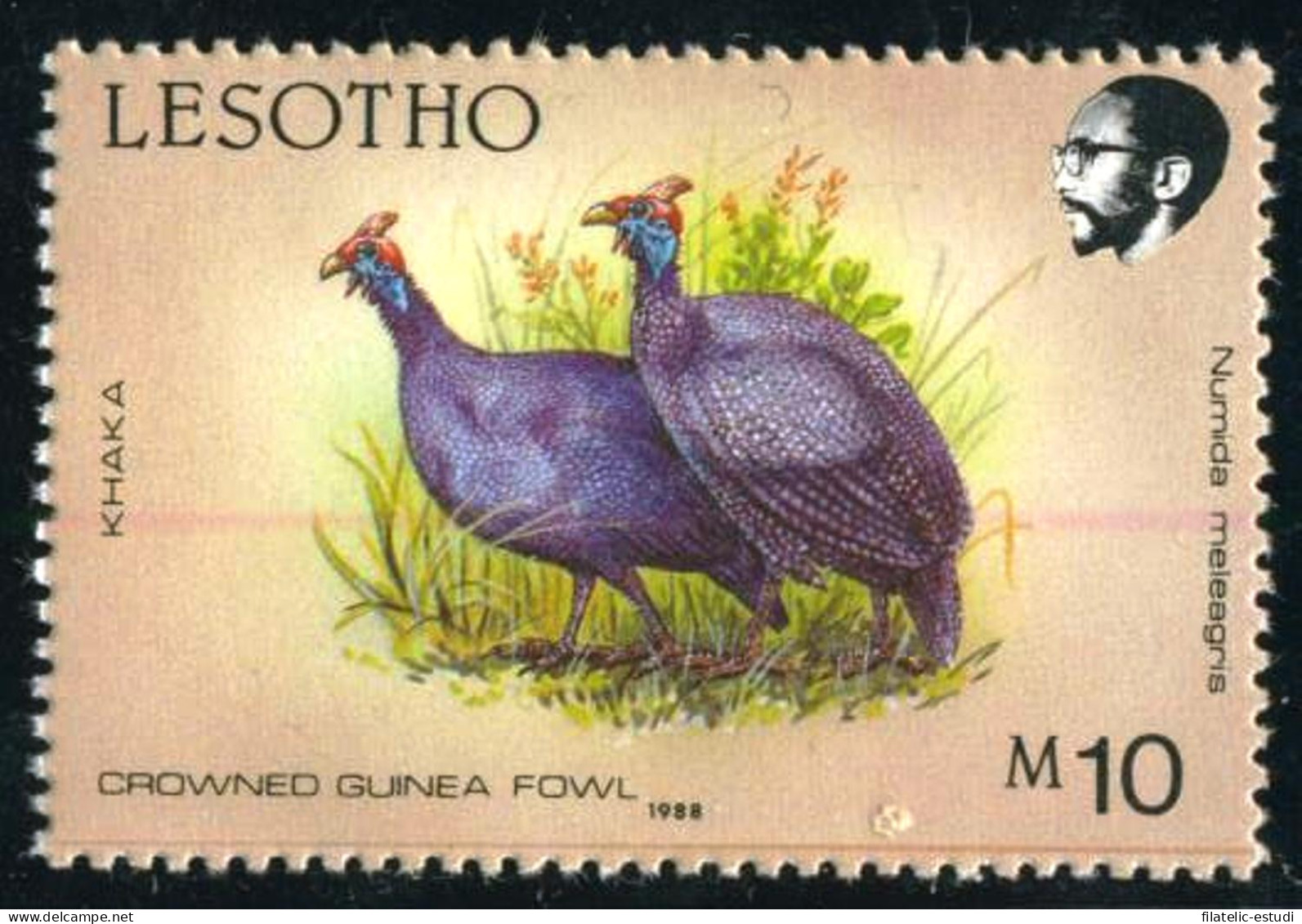 FAU3 Lesotho 768 1988 MNH - Lesotho (1966-...)