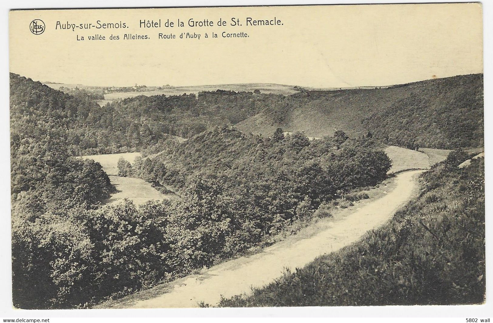 AUBY S/Semois : La Vallée Des Alleines - Route D'Auby à La Cornette - Bertrix